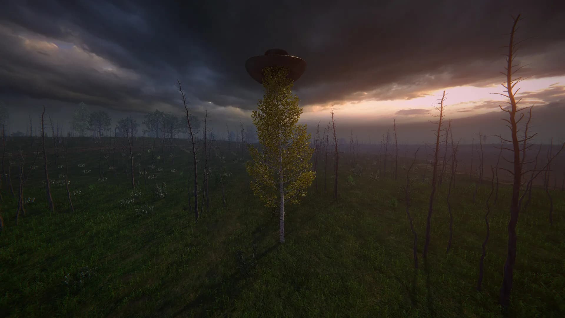 Birch Simulator screenshot screenshot 9