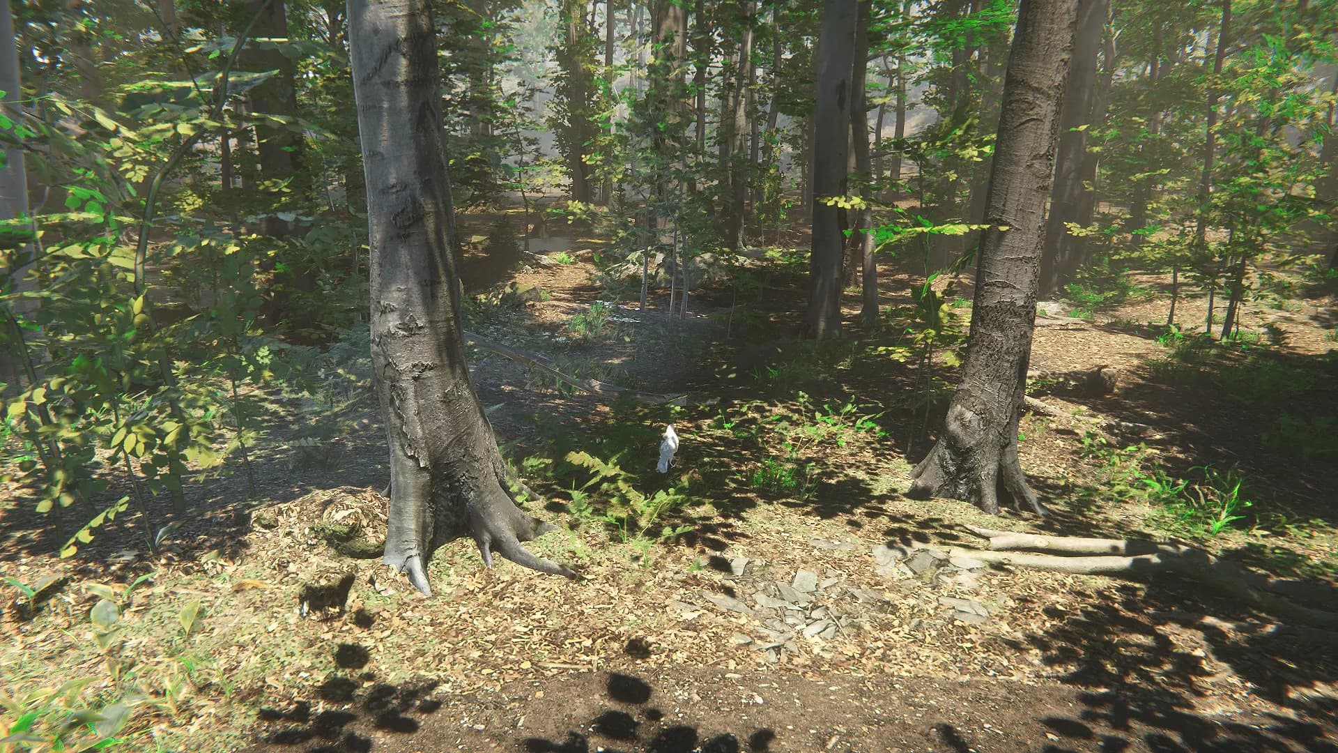 Bird screenshot screenshot 0