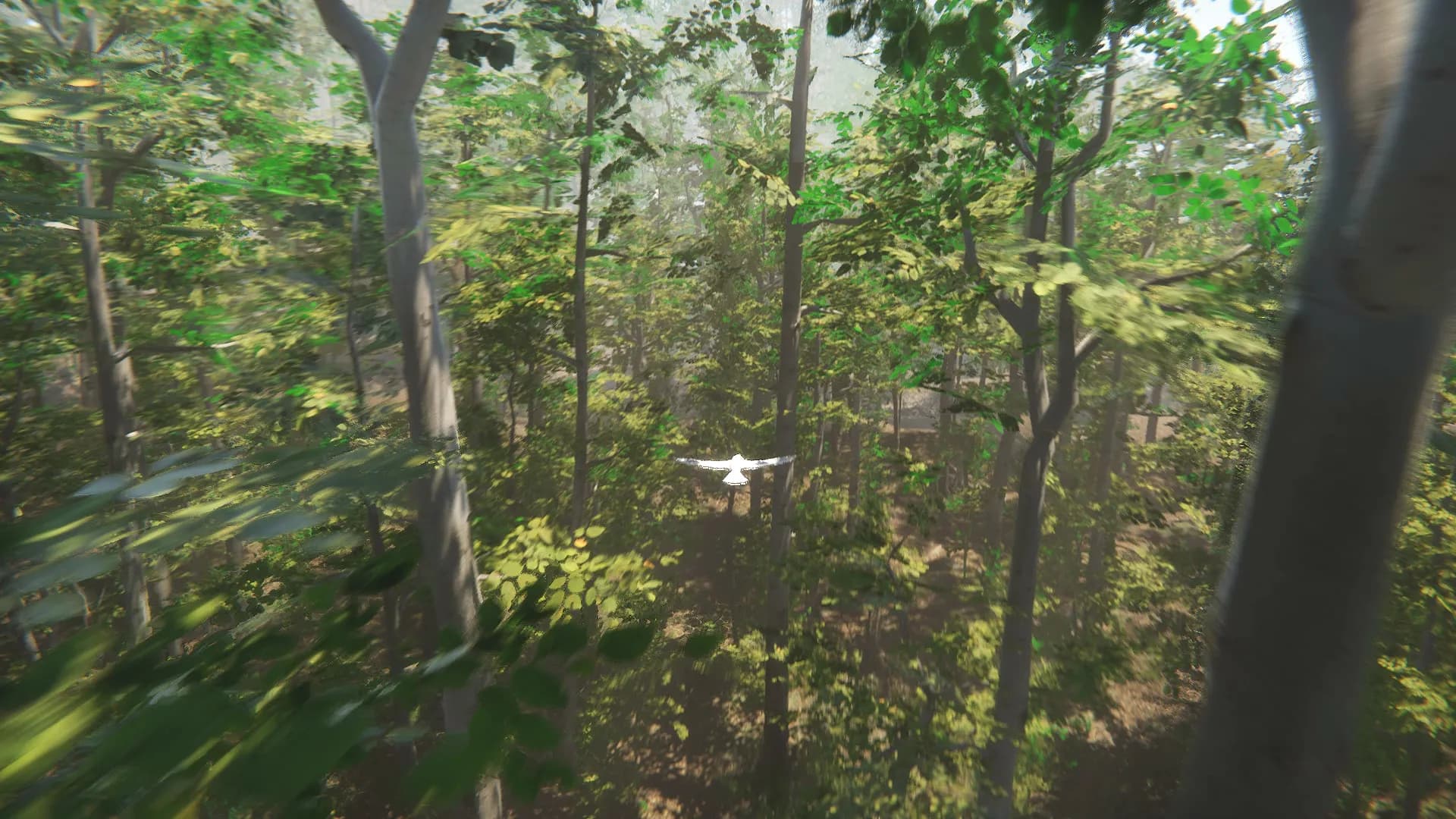 Bird screenshot screenshot 1