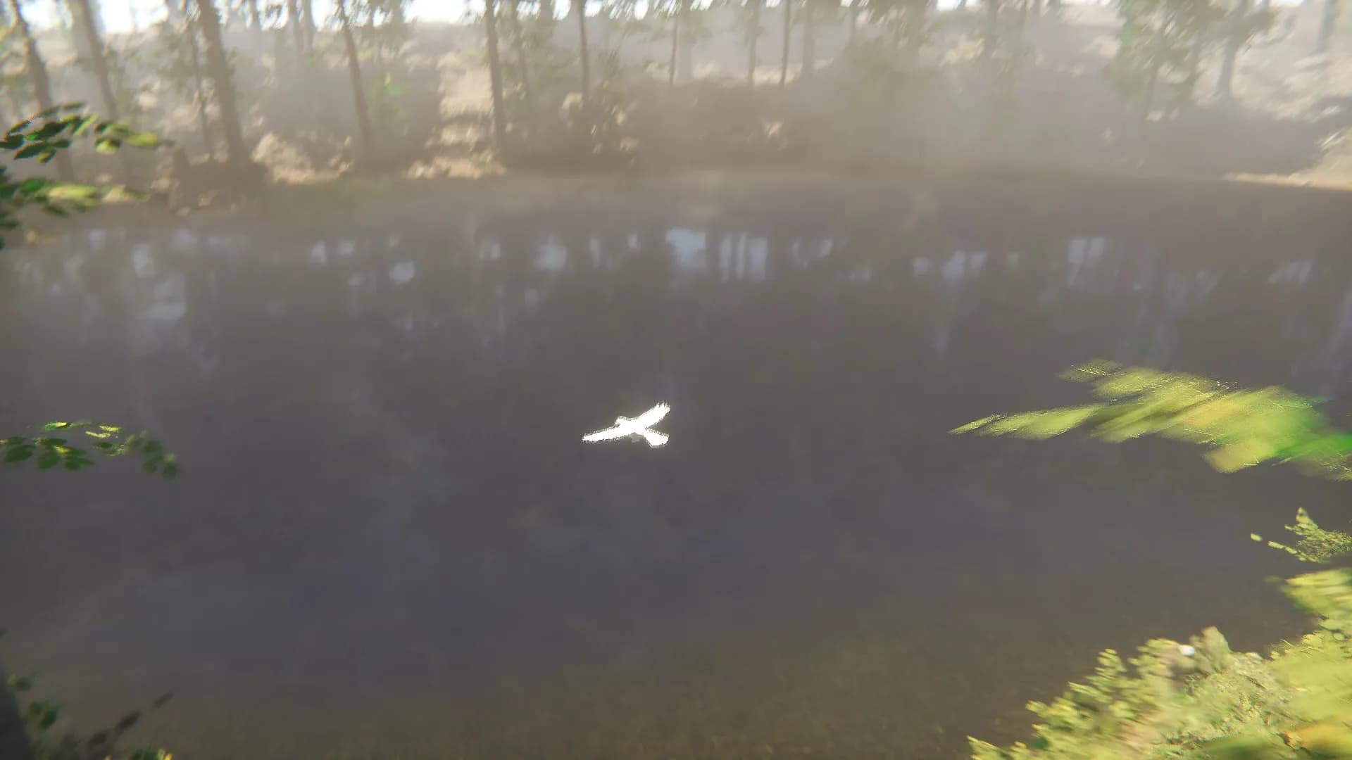 Bird screenshot screenshot 3