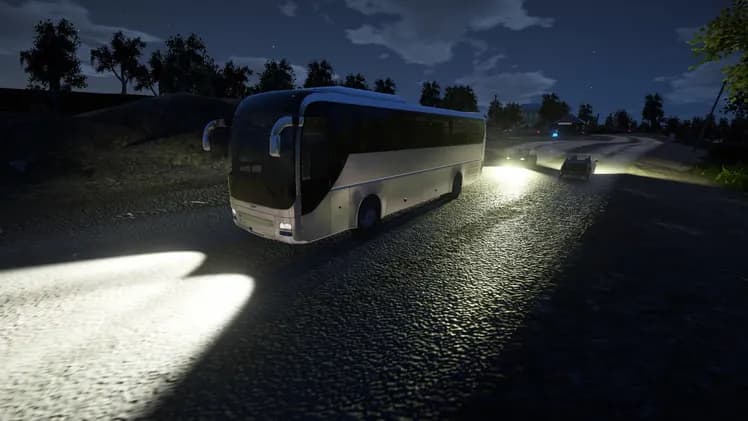 Bus Driver Simulator screenshot screenshot 3