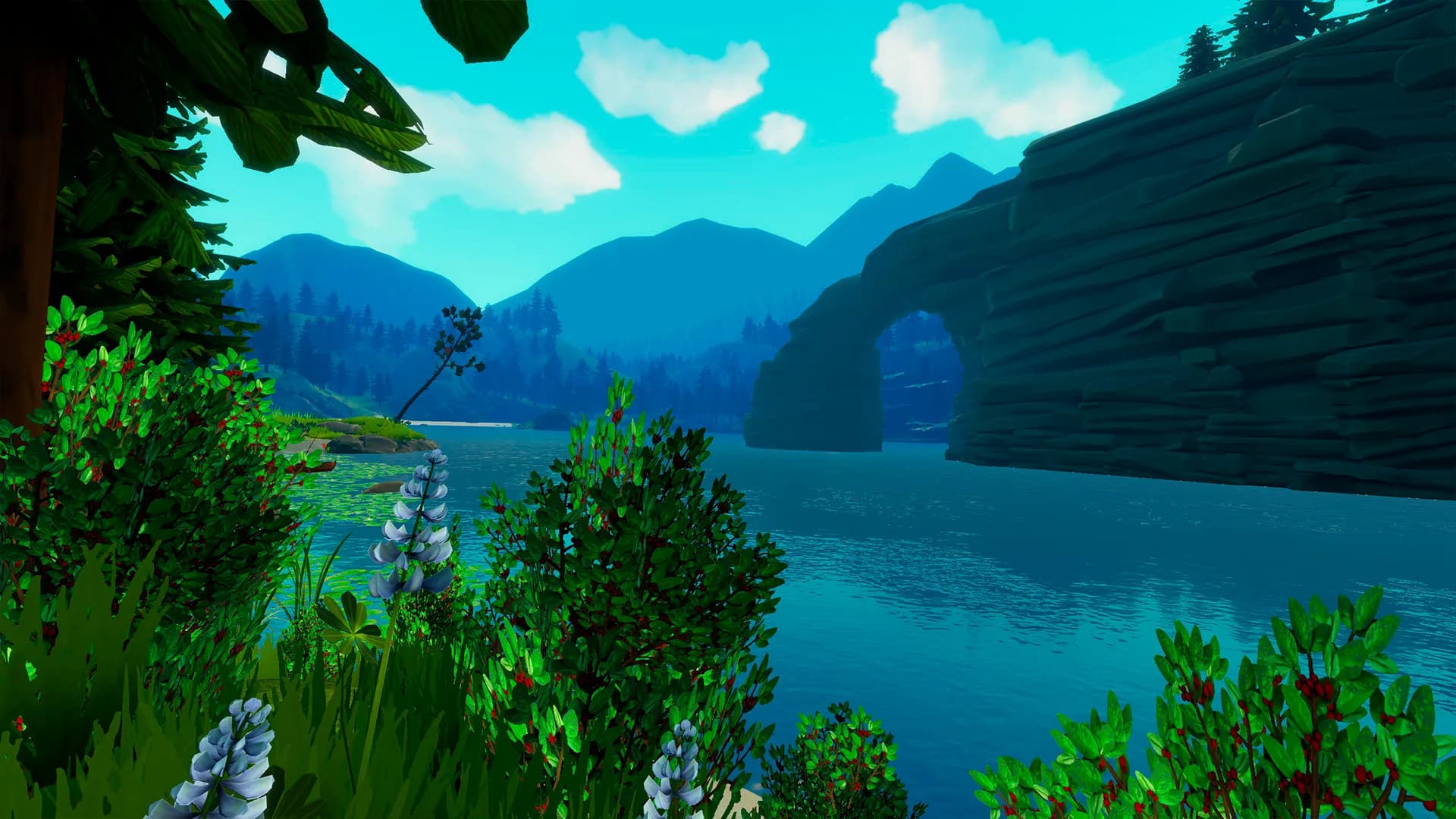 Catch & Release screenshot screenshot 13