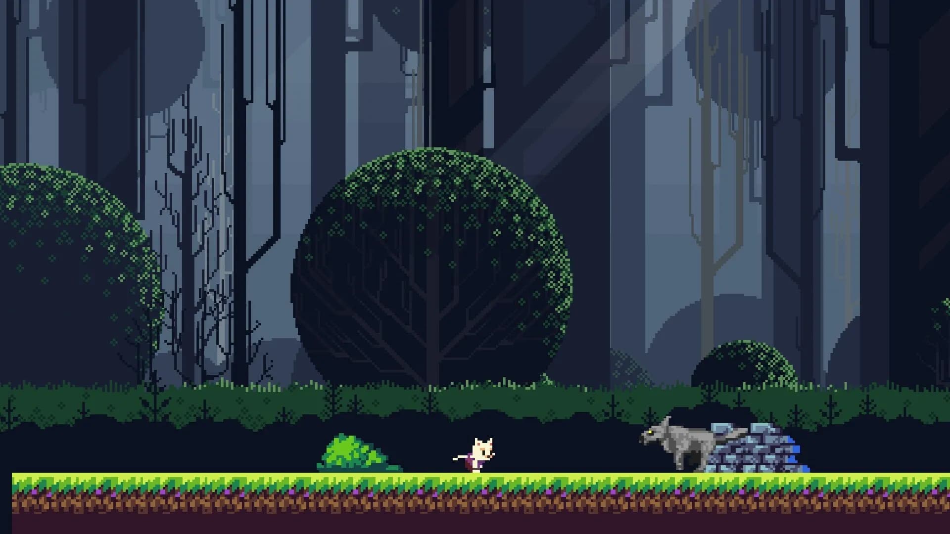 CATRUN screenshot screenshot 1