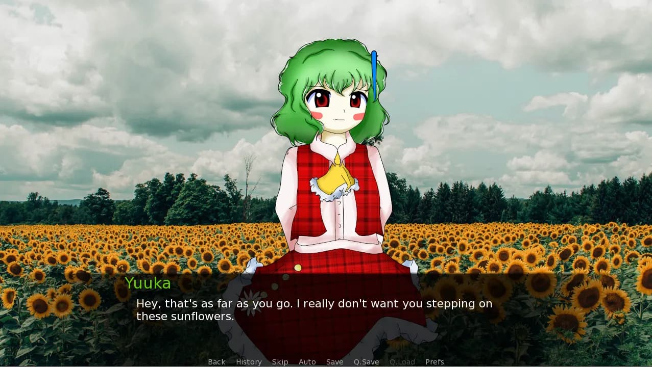 CBT With Yuuka Kazami screenshot screenshot 0