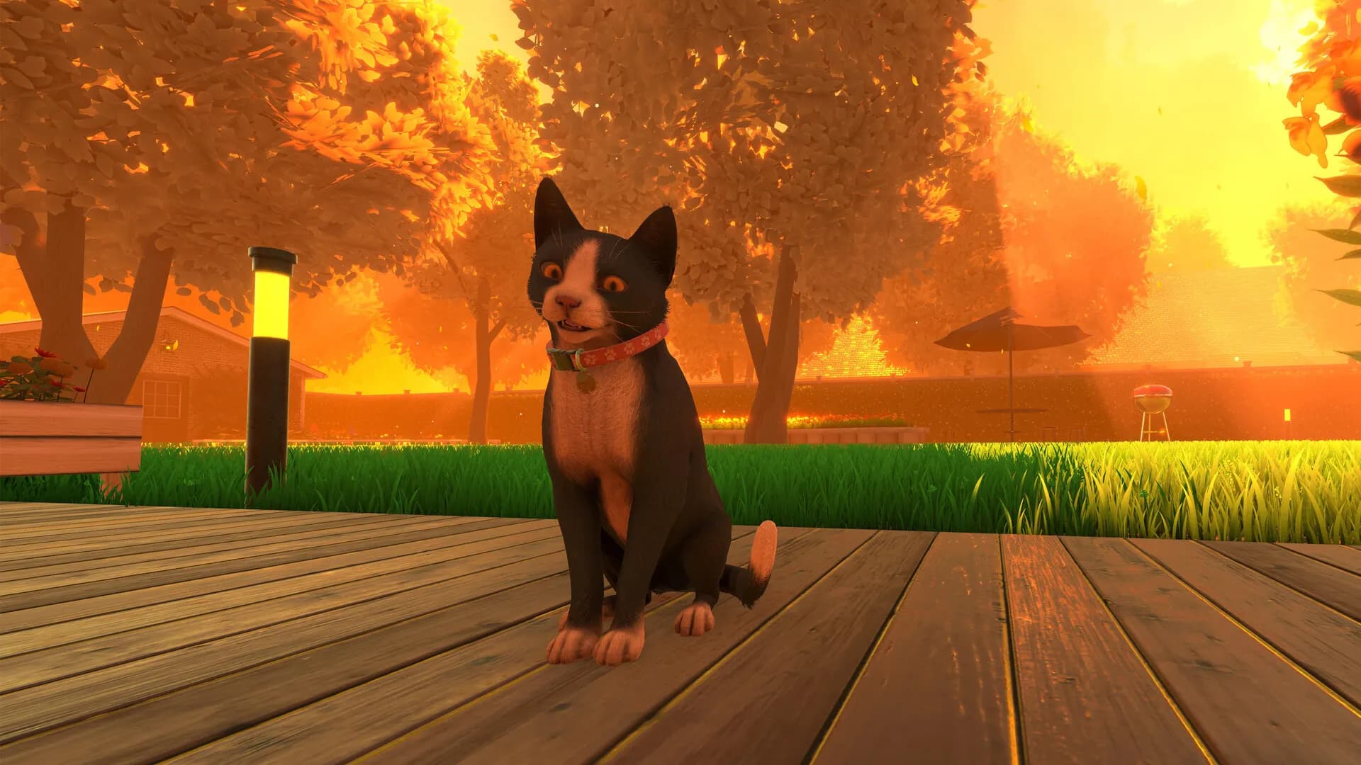 Copycat screenshot screenshot 1