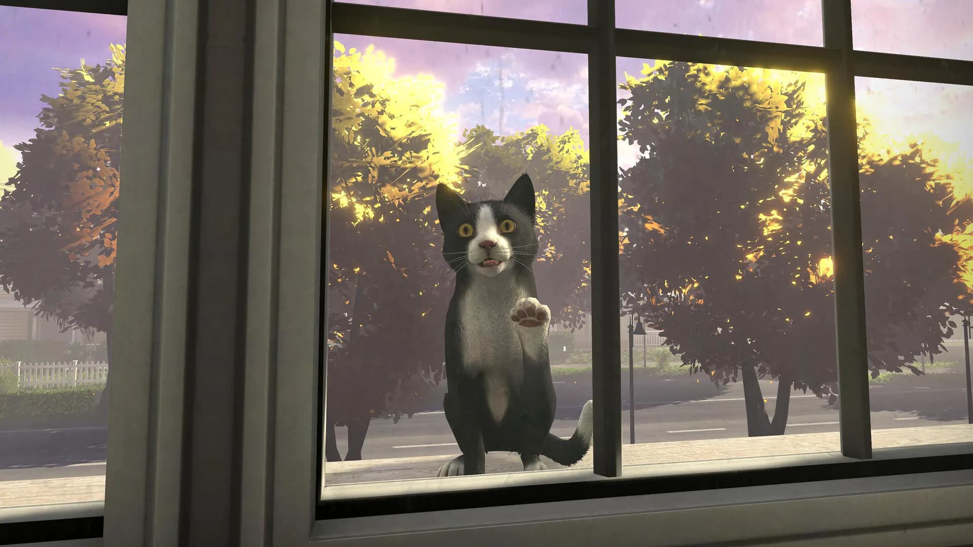 Copycat screenshot screenshot 3