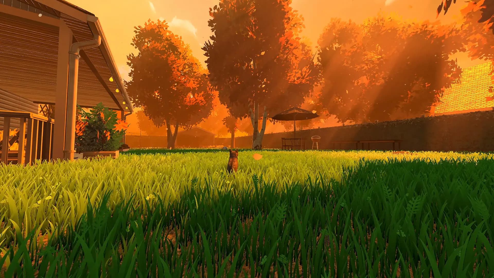 Copycat screenshot screenshot 4