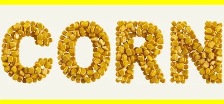 corn vertical card thumbnail