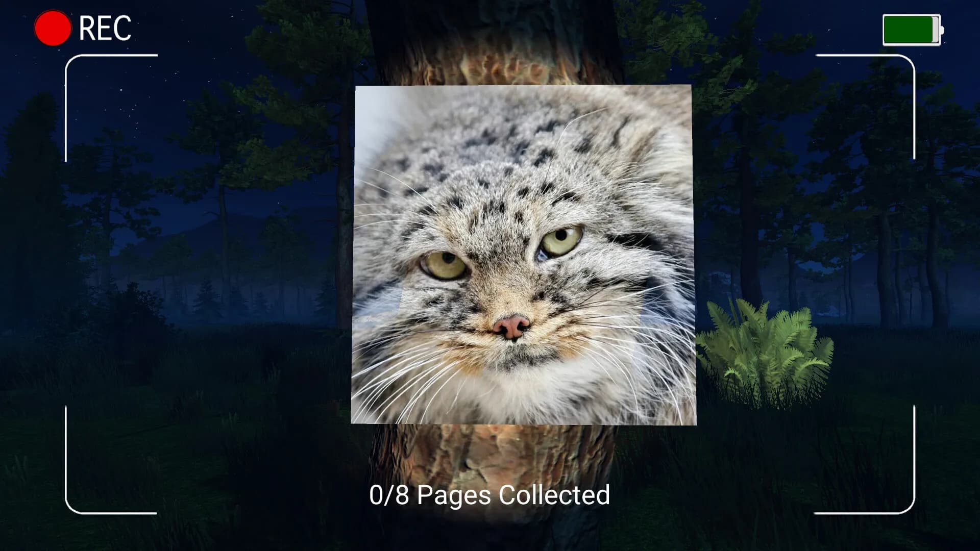 DARK NIGHT WITH FLOPPA screenshot screenshot 2