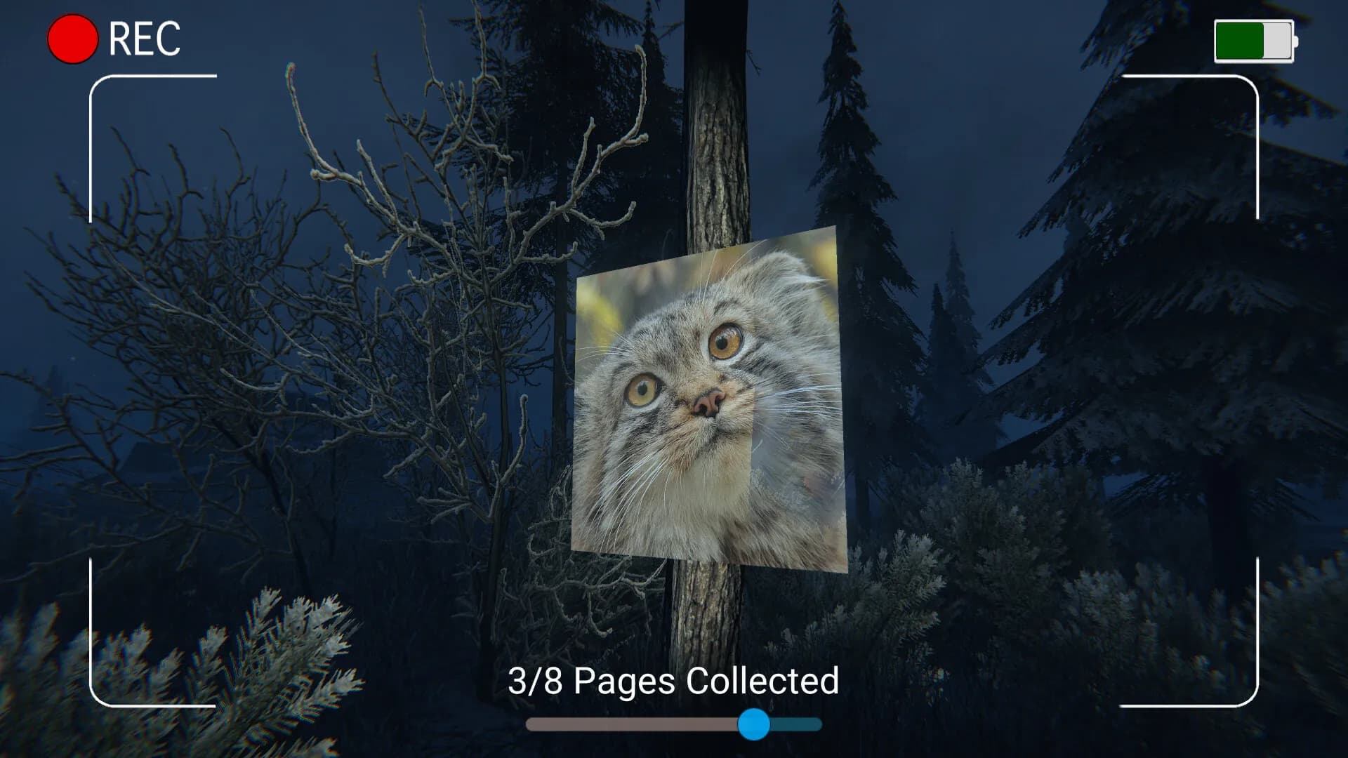 DARK NIGHT WITH FLOPPA screenshot screenshot 5