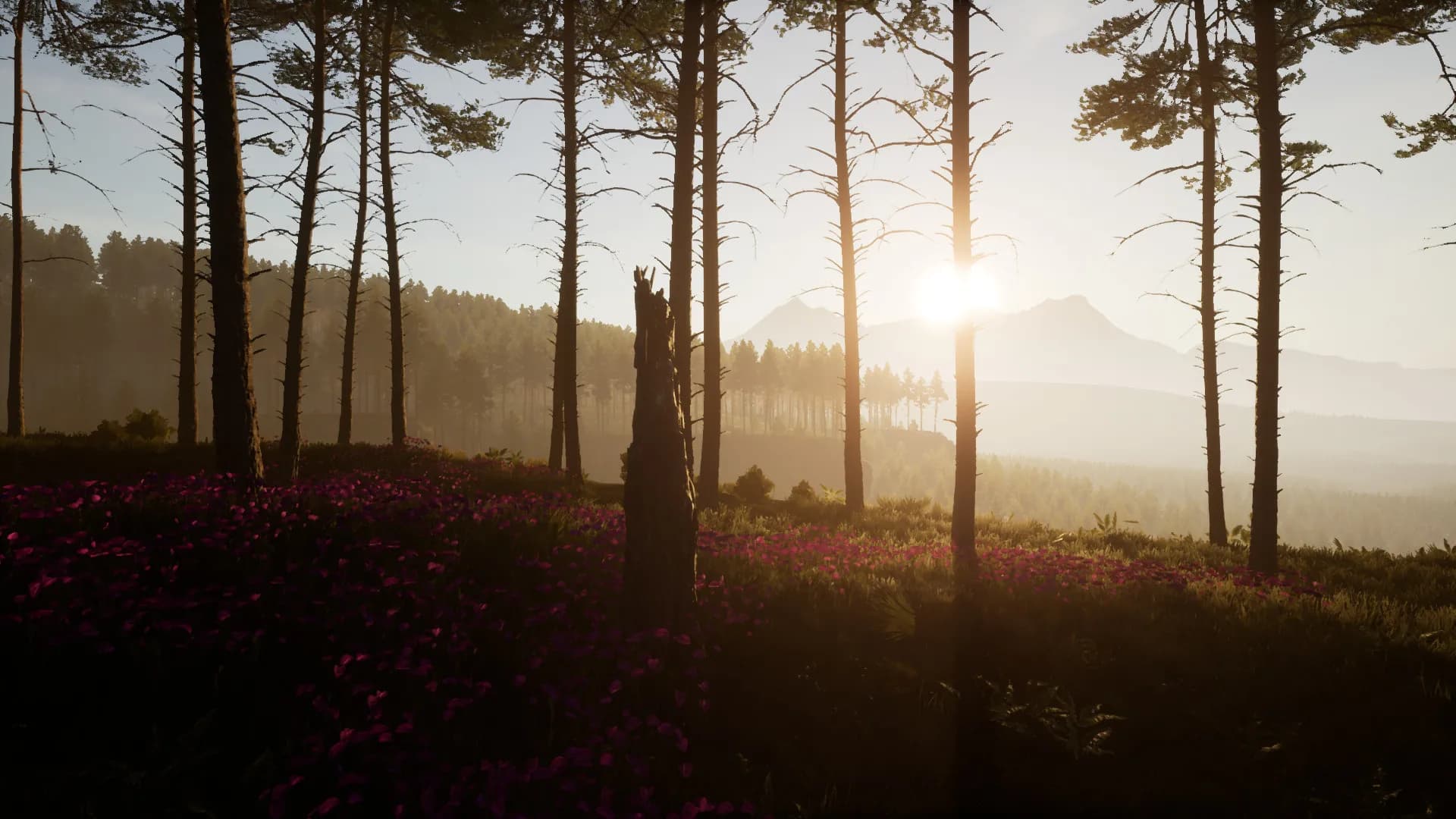 Dead District: Survival screenshot screenshot 3