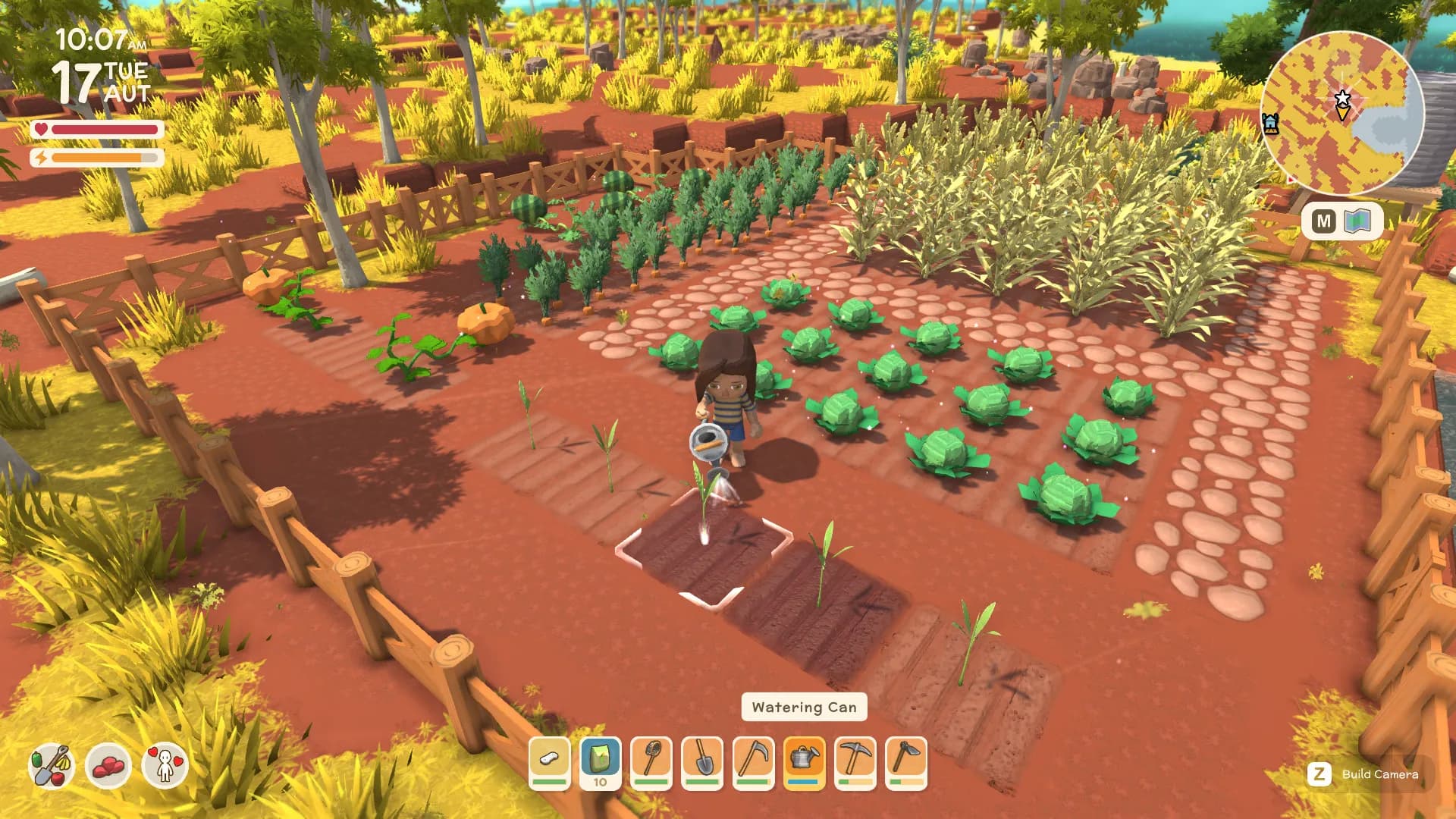 Dinkum screenshot screenshot 0