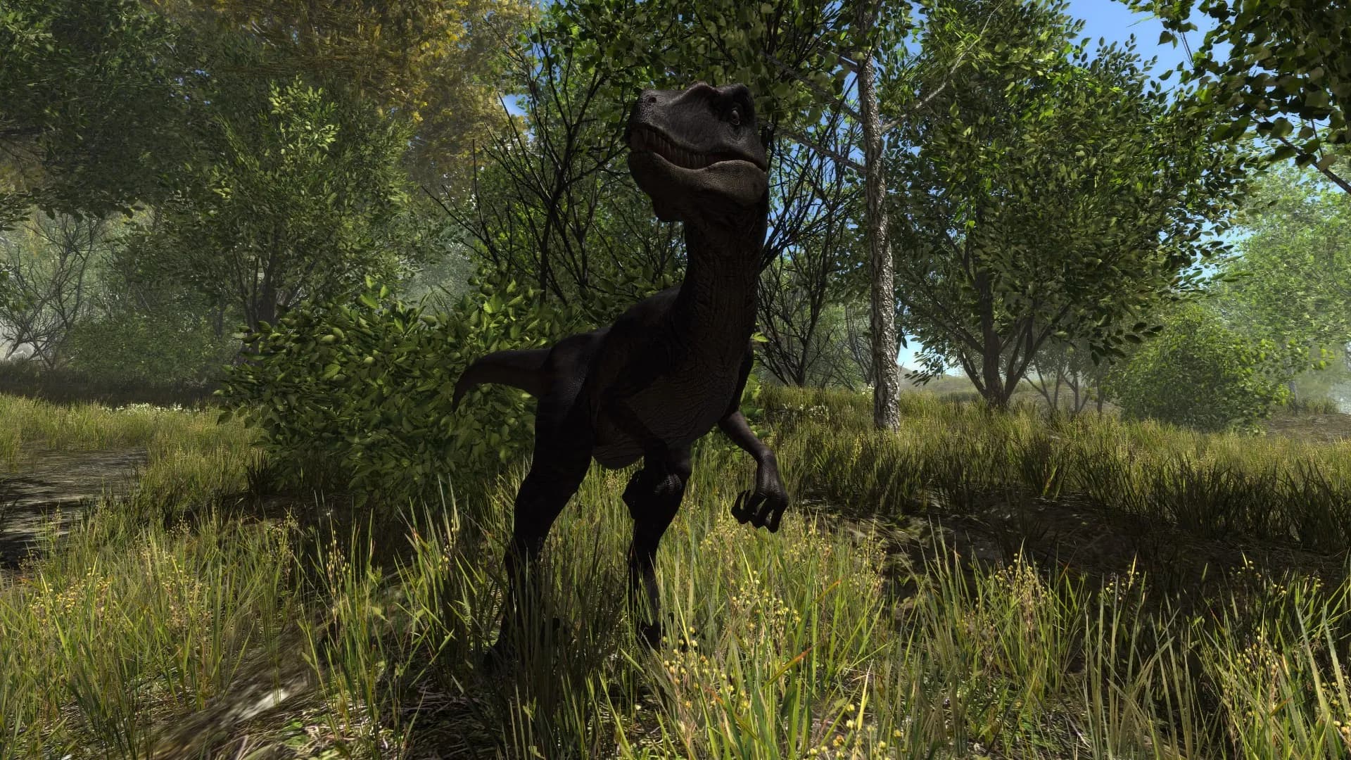 Dinosaur Forest screenshot screenshot 2