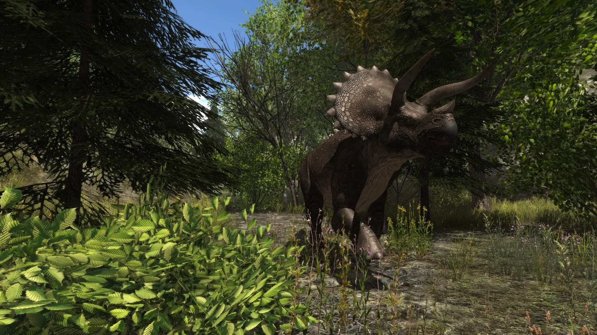 Dinosaur Forest screenshot screenshot 7