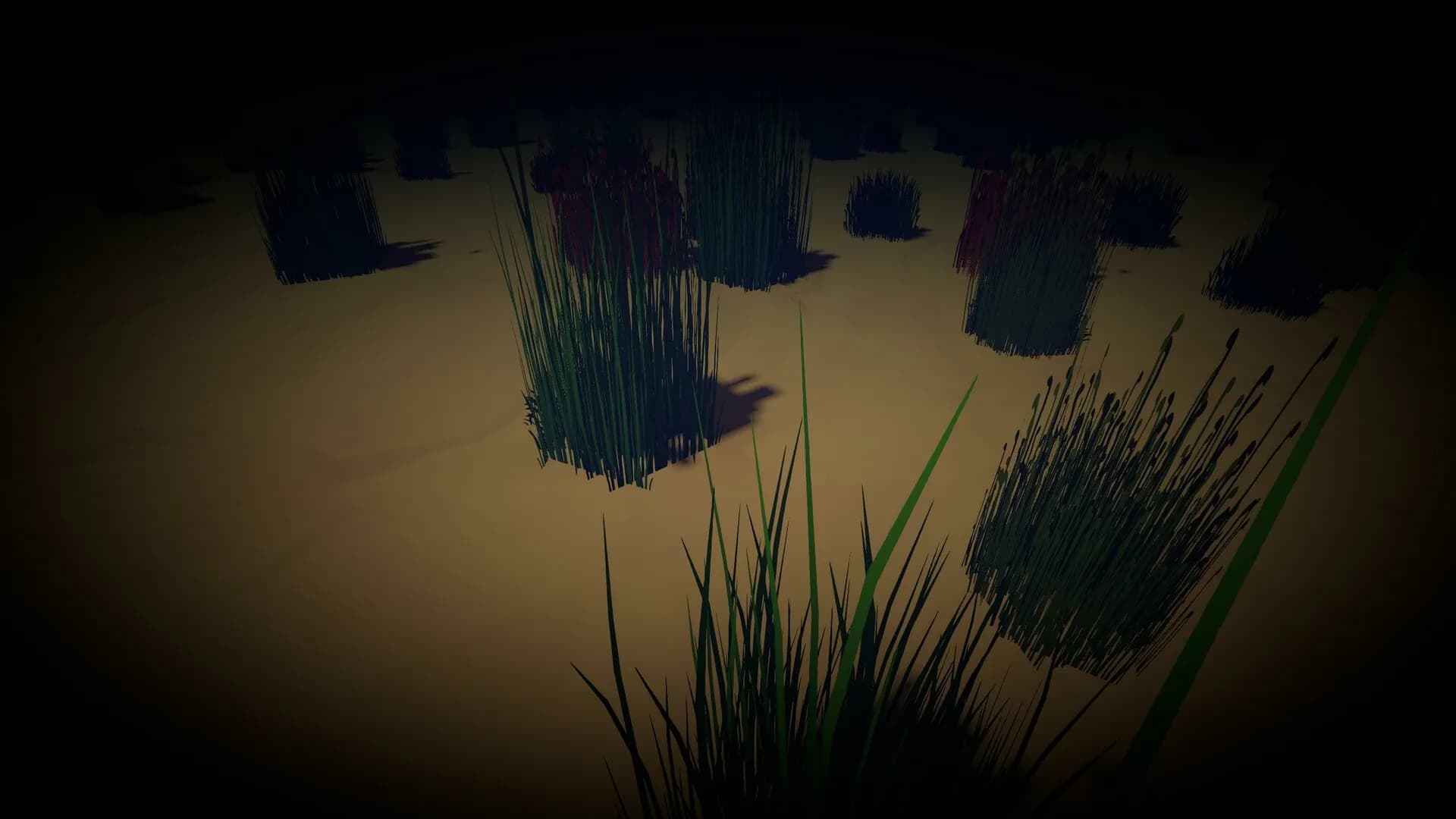Diving Focus screenshot screenshot 5