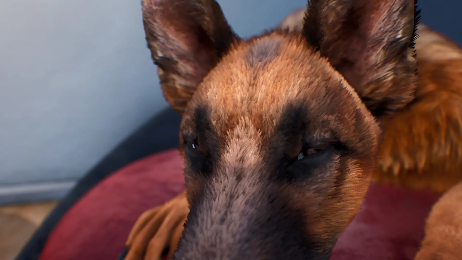 Doggy Up! screenshot screenshot 0
