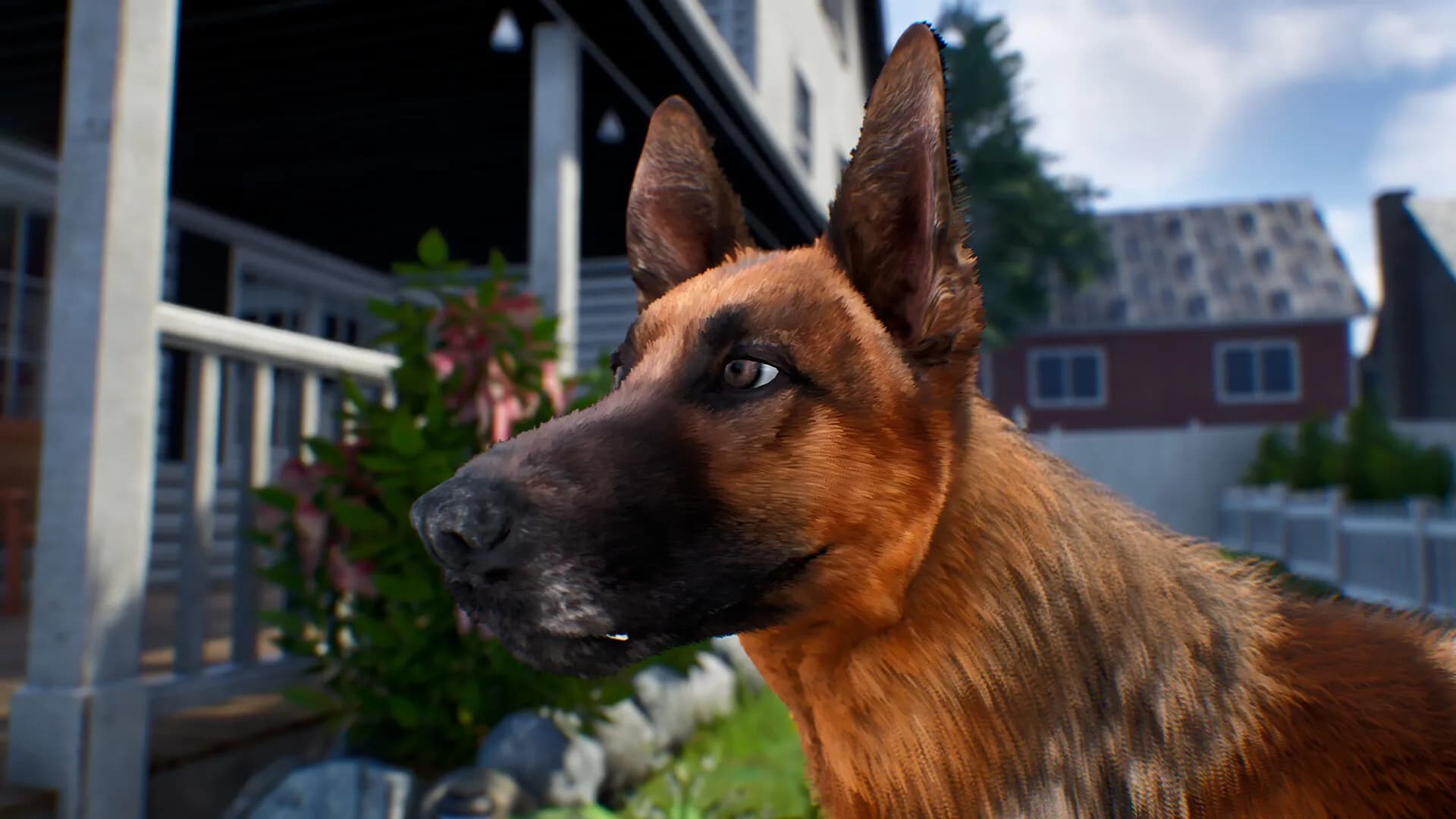 Doggy Up! screenshot screenshot 14