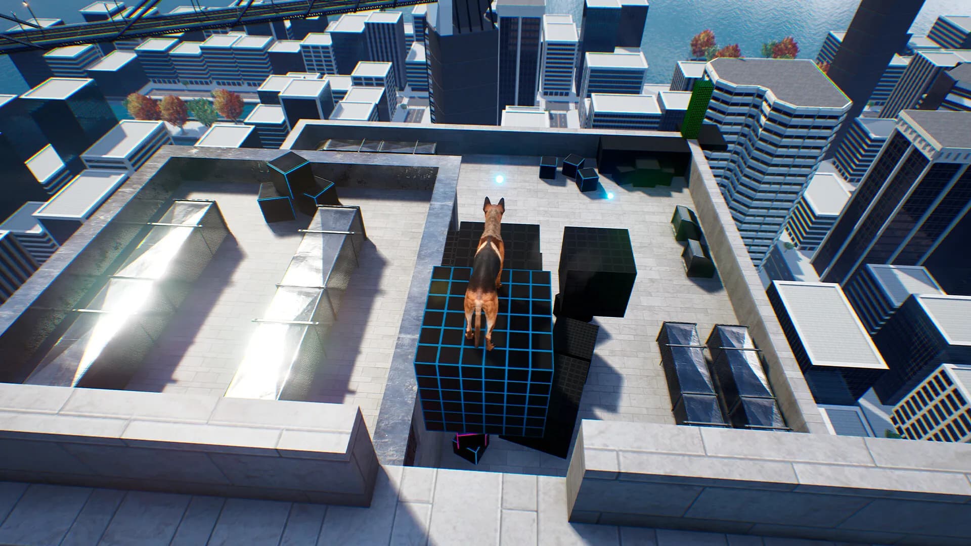 Doggy Up! screenshot screenshot 8