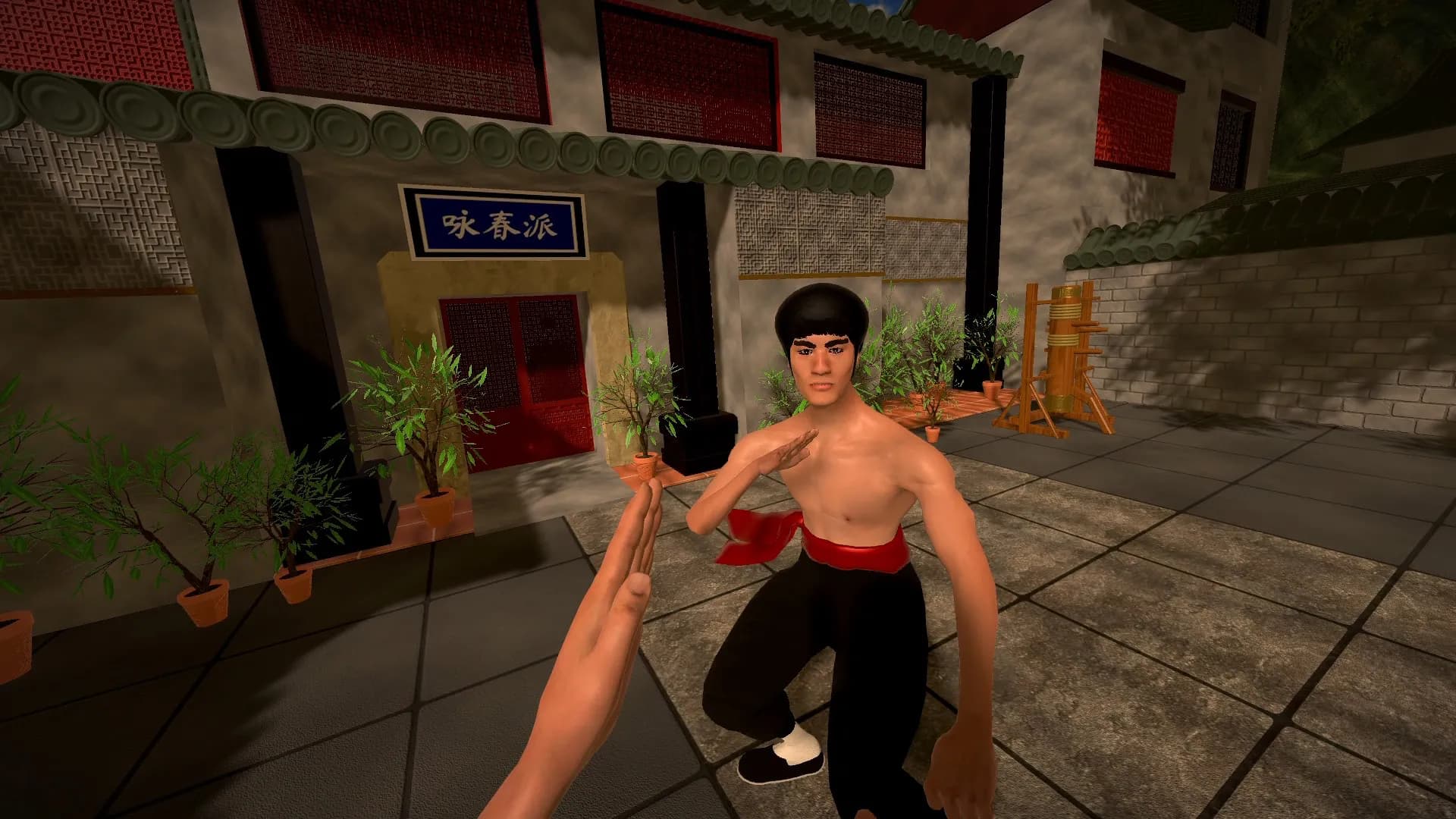 Dragon Fist: VR Kung Fu screenshot screenshot 0