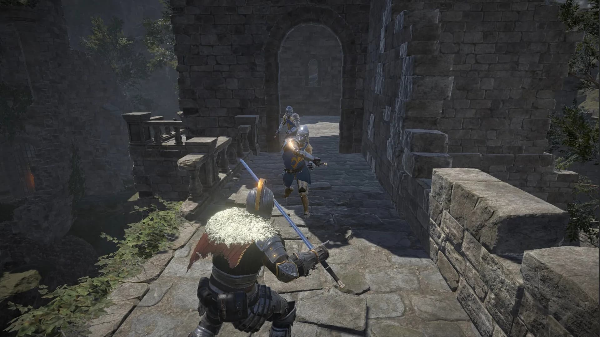 Dragon's Dog mother screenshot screenshot 7