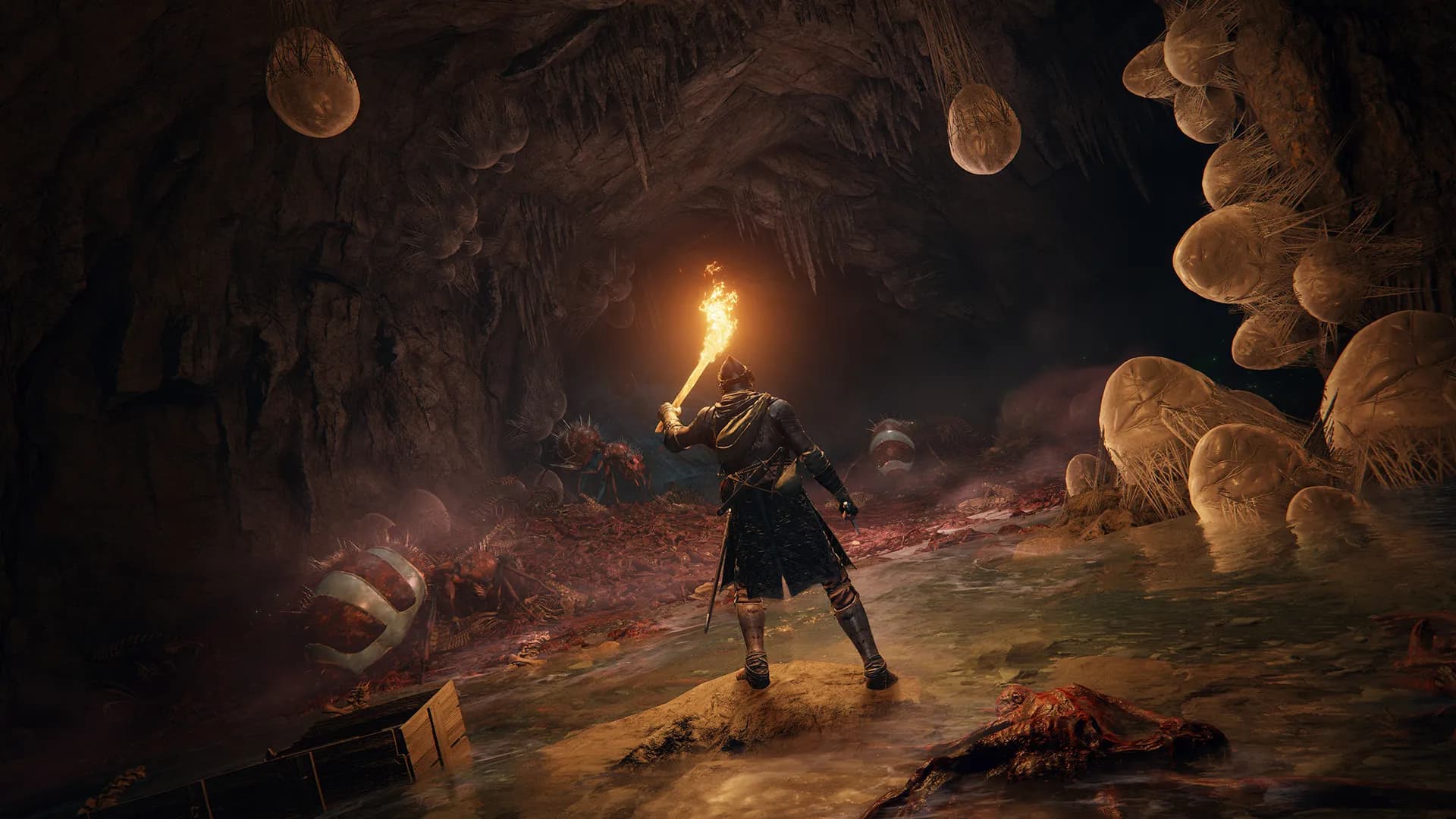 ELDEN RING screenshot screenshot 14