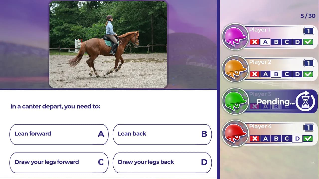 Equestrian Training screenshot screenshot 1
