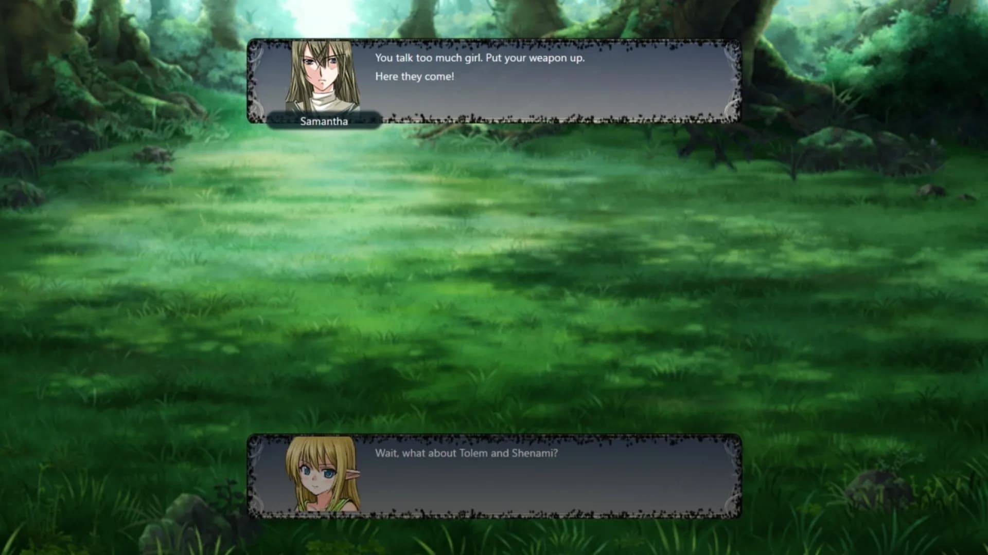 Falnarion Tactics II screenshot screenshot 4
