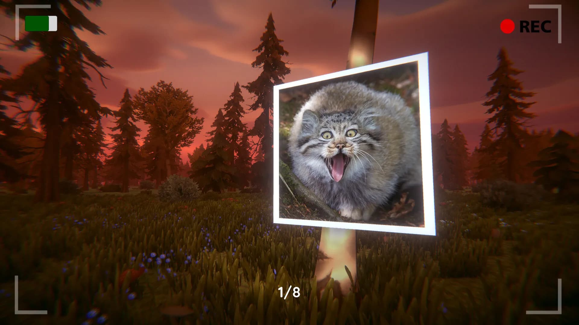 Floppa: The Dark Forest screenshot screenshot 4