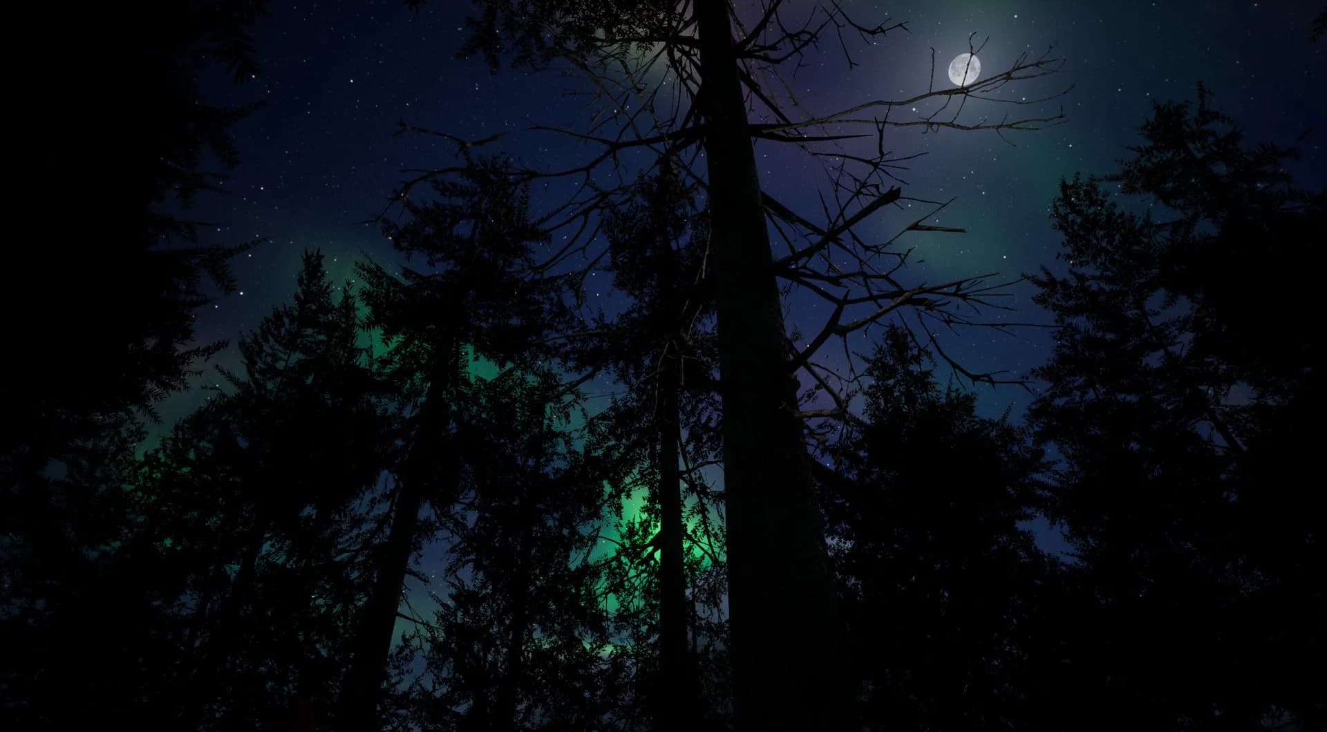 Gold Hunter screenshot screenshot 8