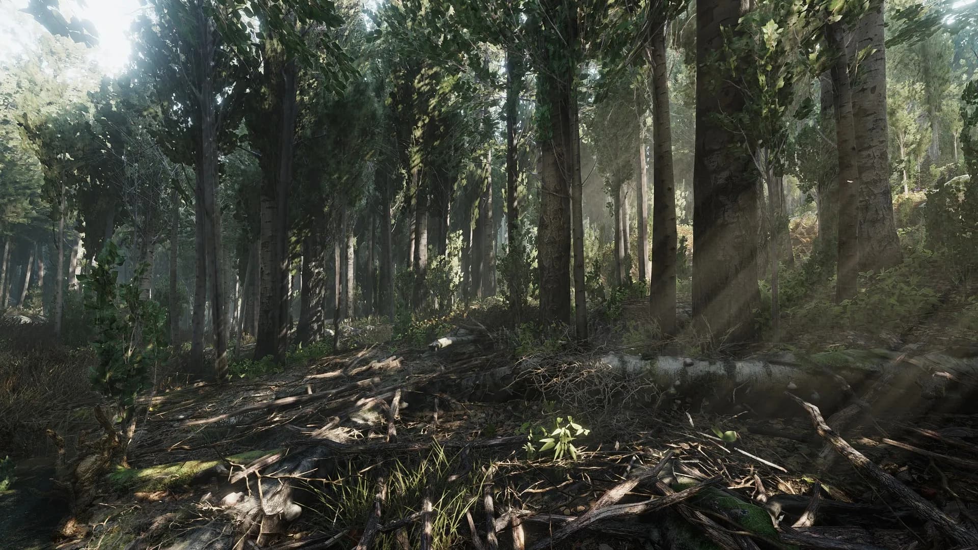 Heat screenshot screenshot 3