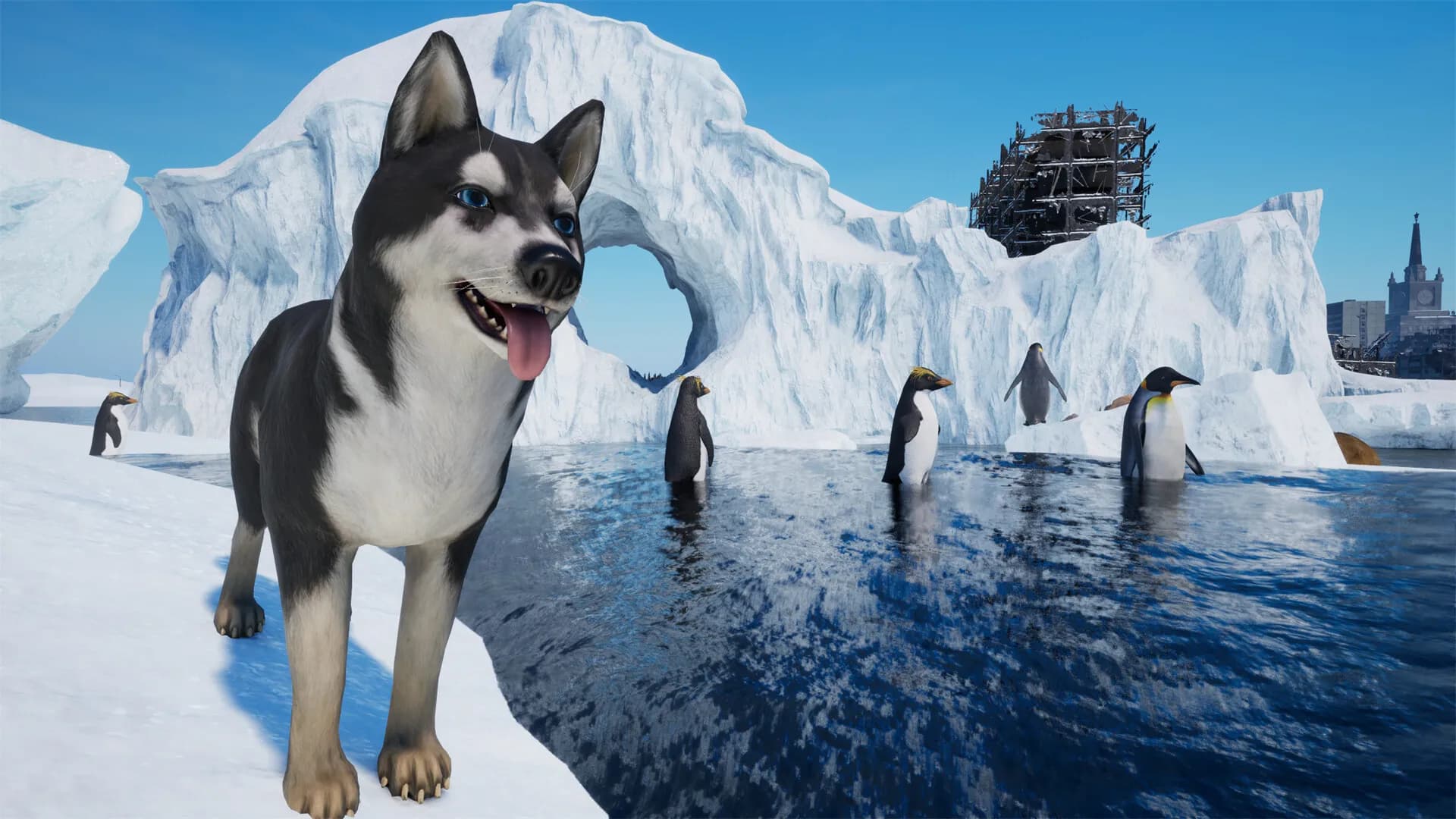 Ice World screenshot screenshot 13