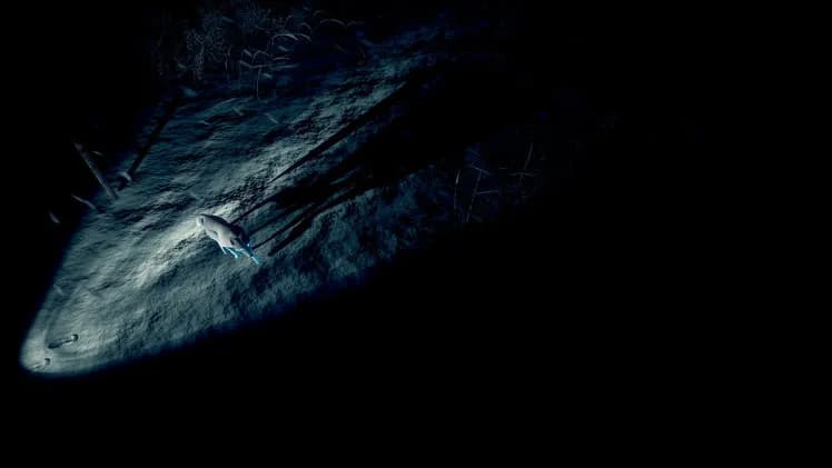 Kona screenshot screenshot 9
