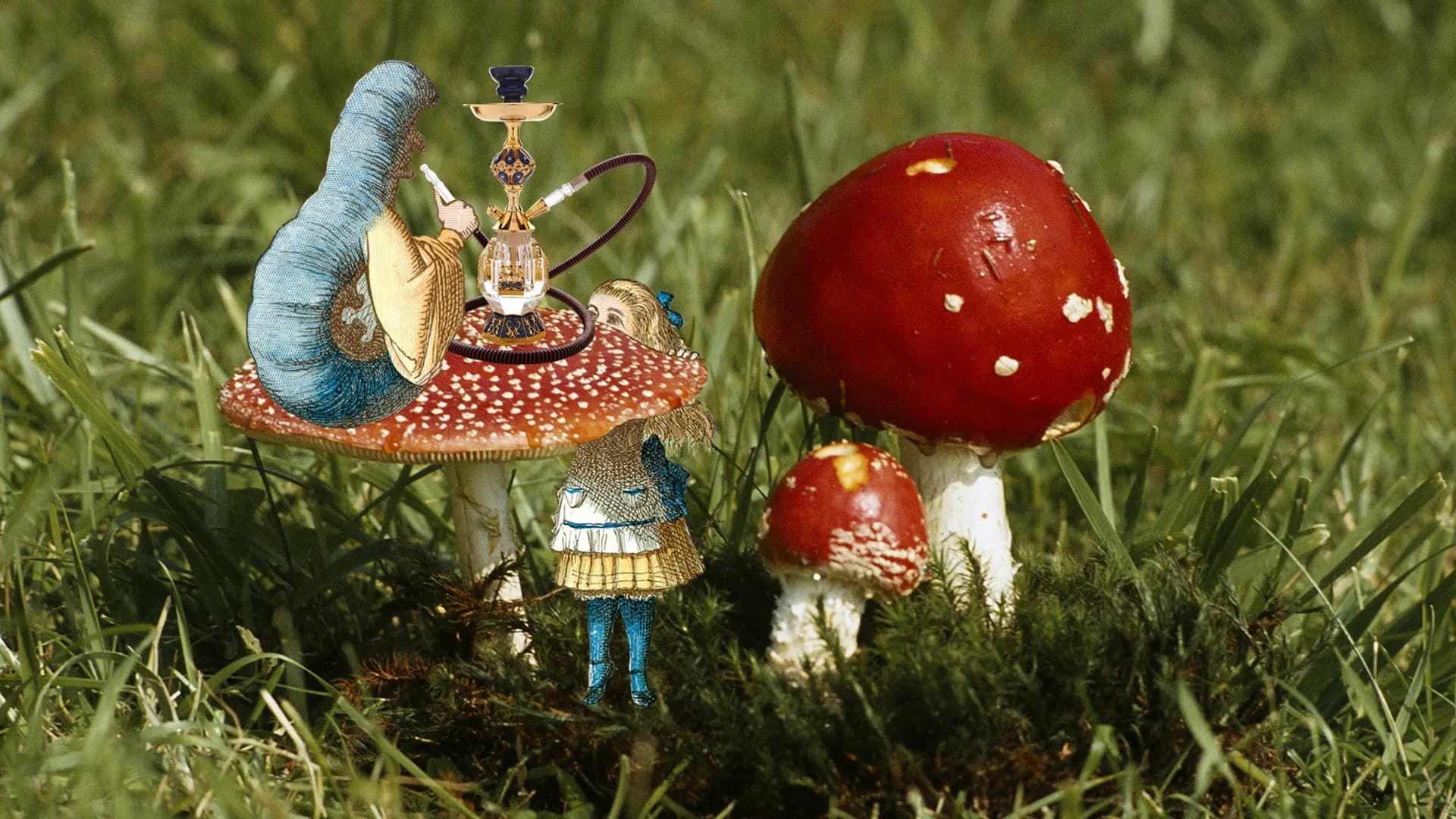 Lewis Carroll's Alice screenshot screenshot 6