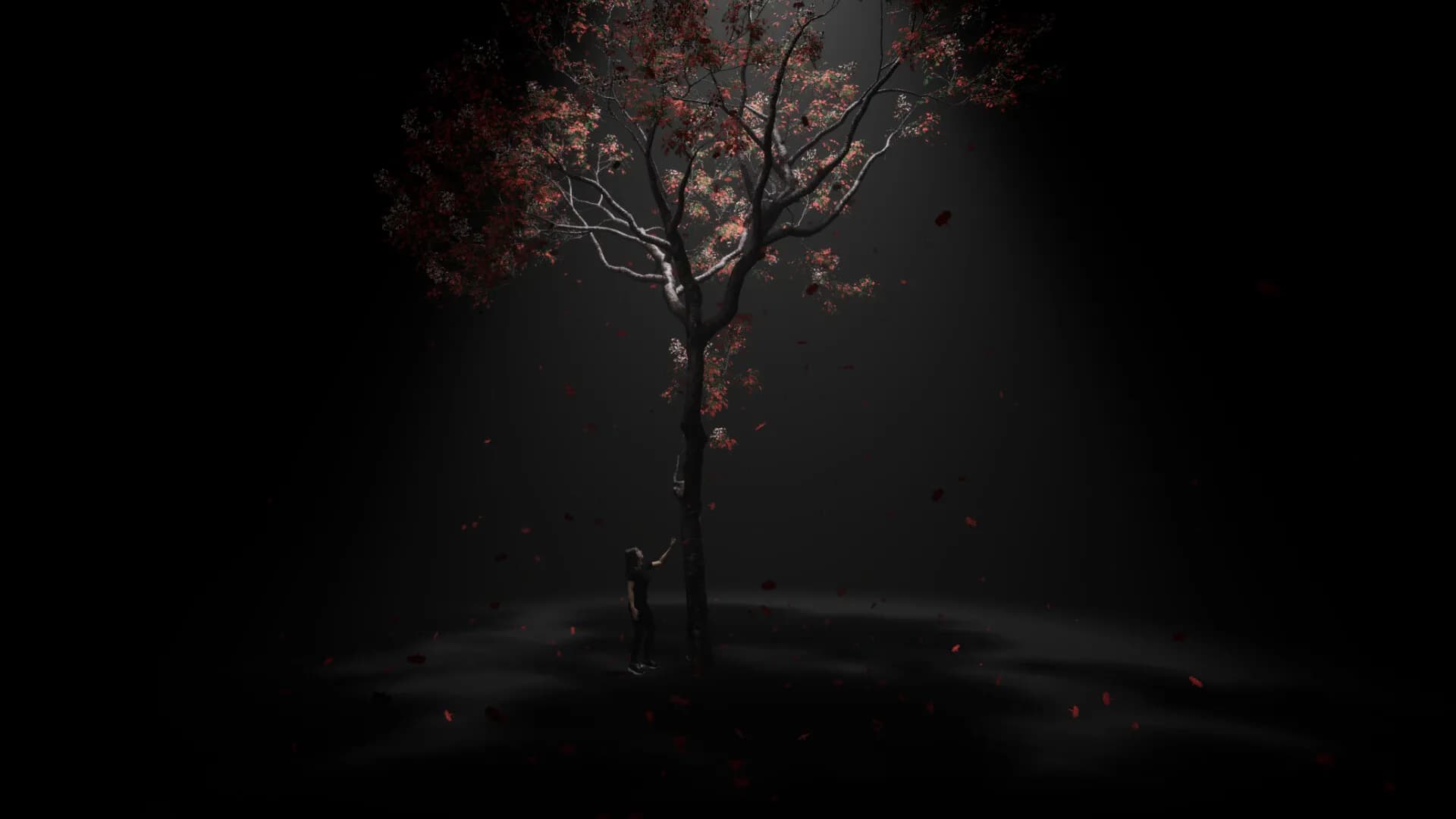 MeiQi 2024 screenshot screenshot 3