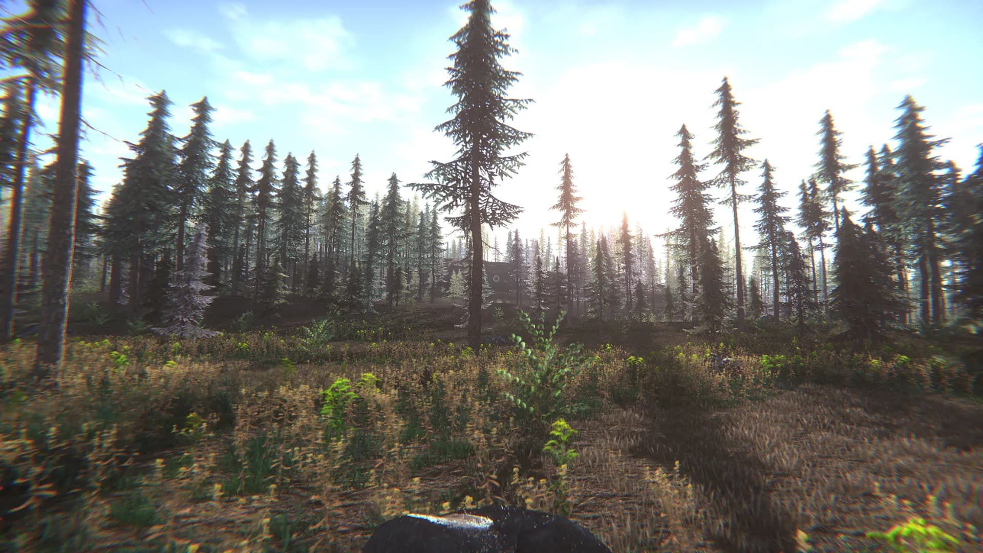 Mushroom Challenge screenshot screenshot 4