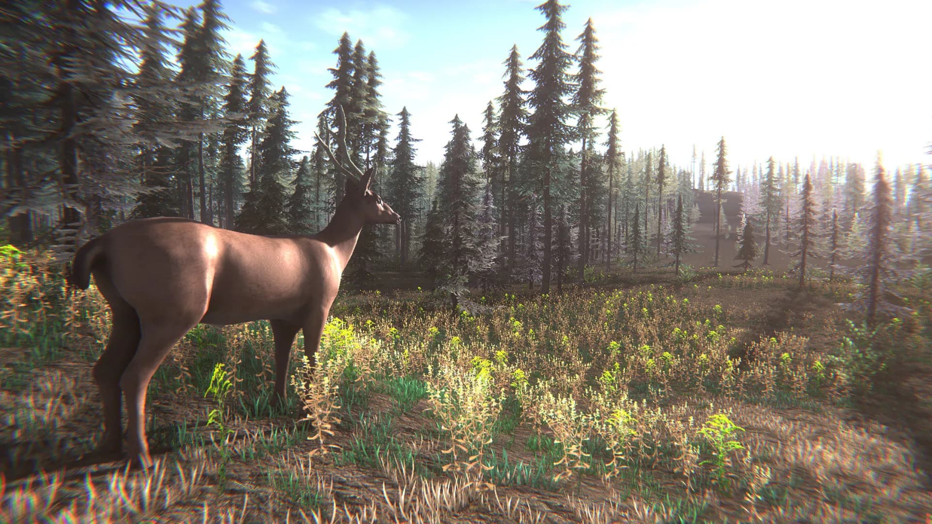 Mushroom Challenge screenshot screenshot 5