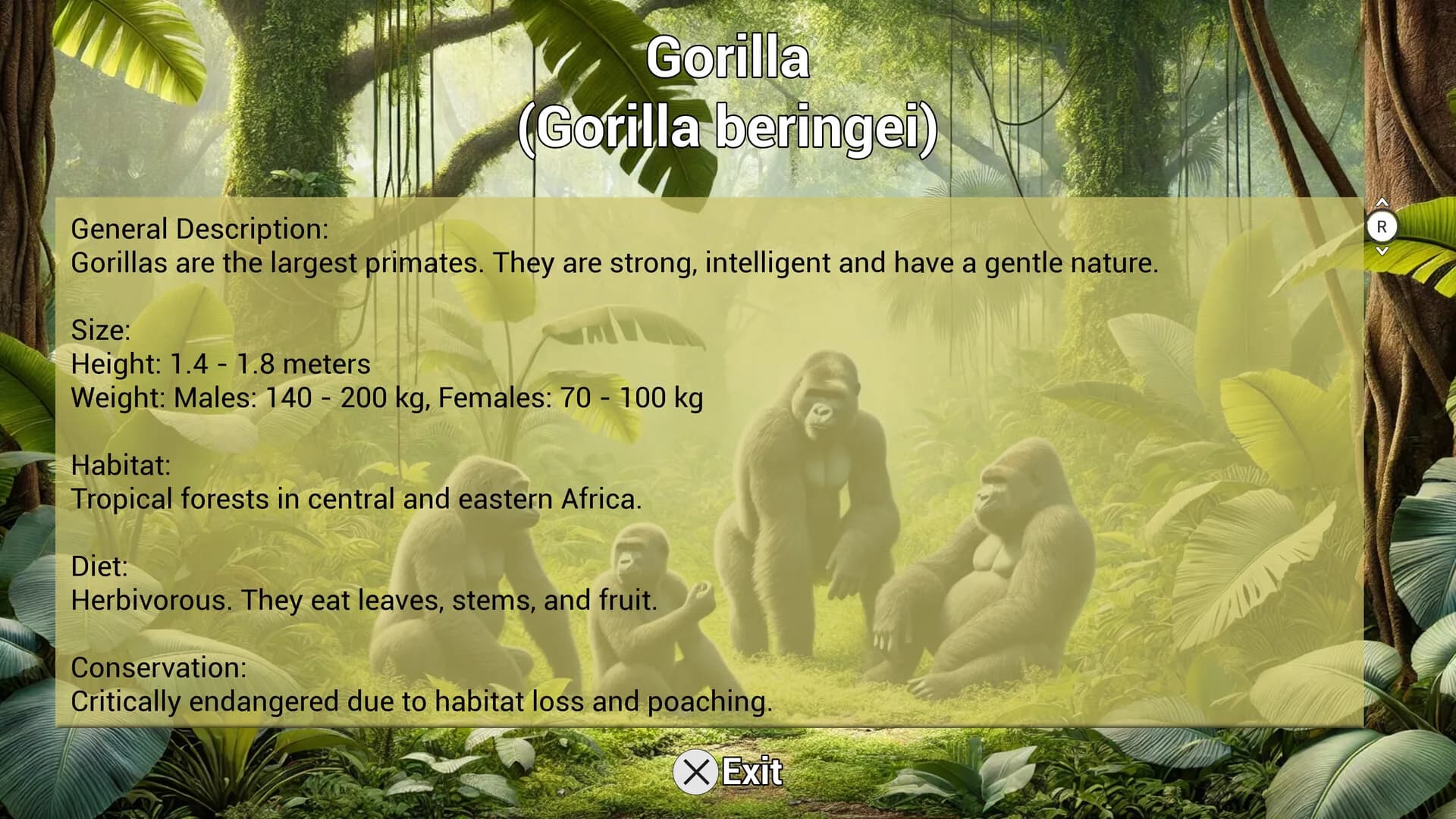 My Life: Zoo Vet screenshot screenshot 10