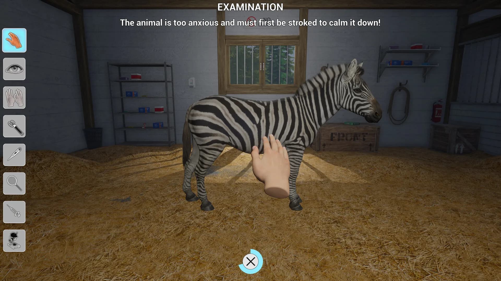 My Life: Zoo Vet screenshot screenshot 6