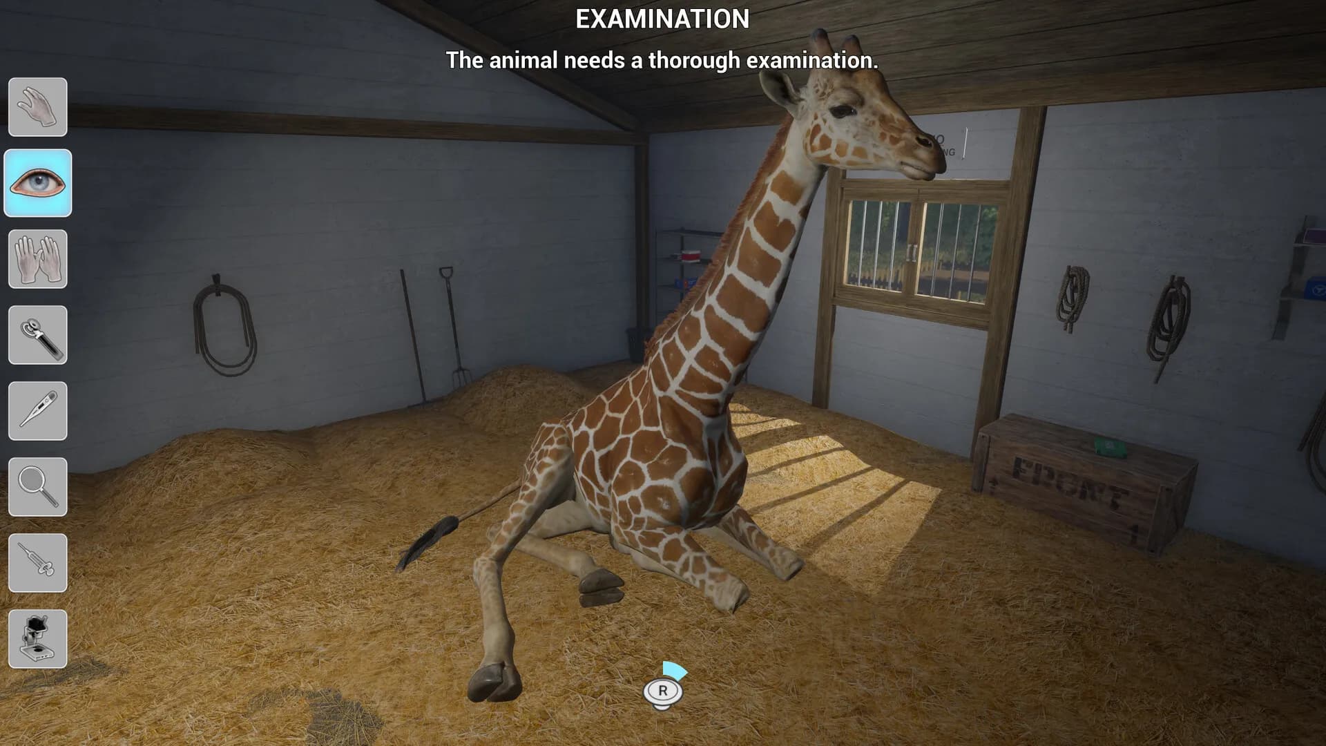 My Life: Zoo Vet screenshot screenshot 8