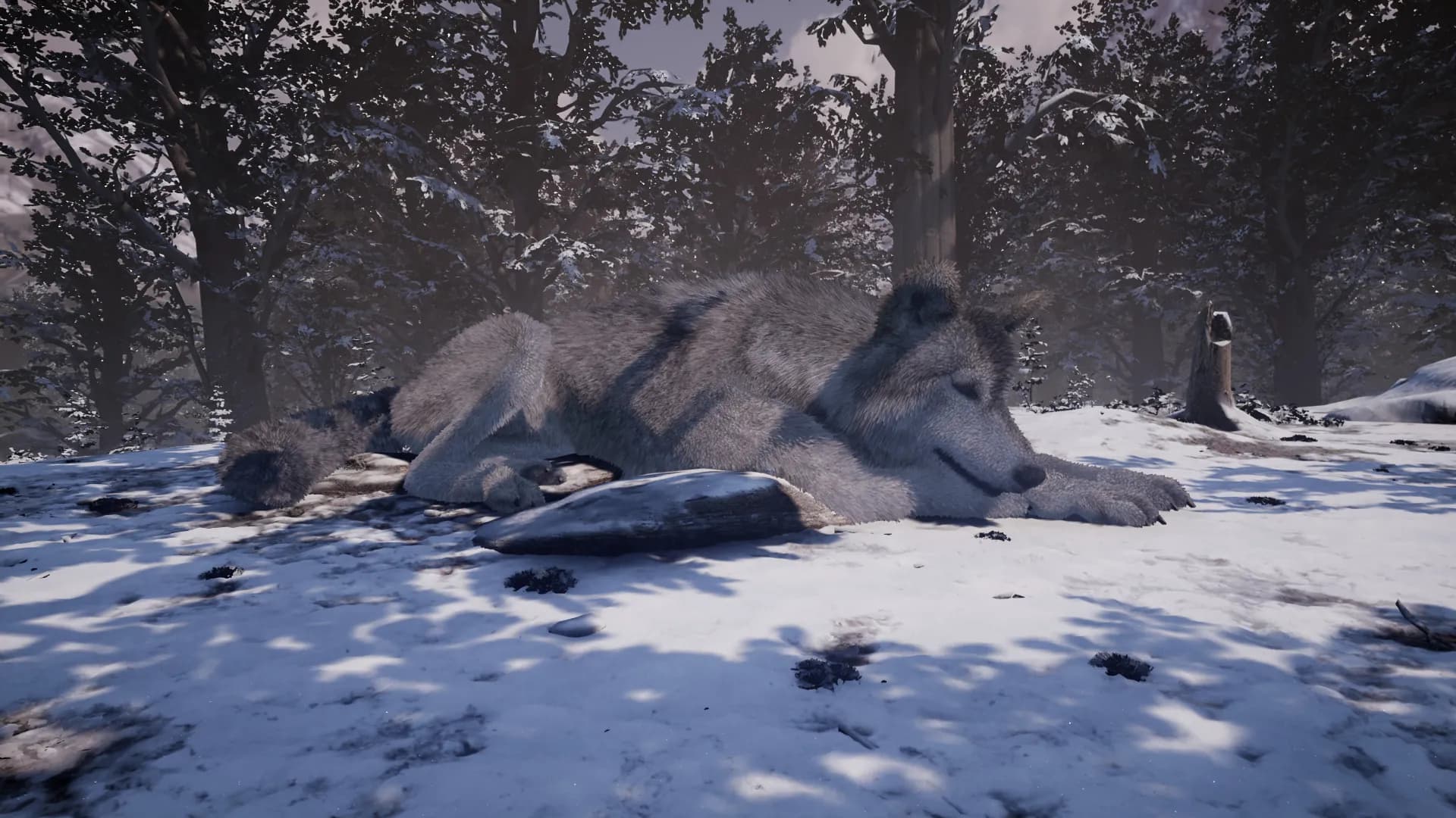 Nephise screenshot screenshot 3