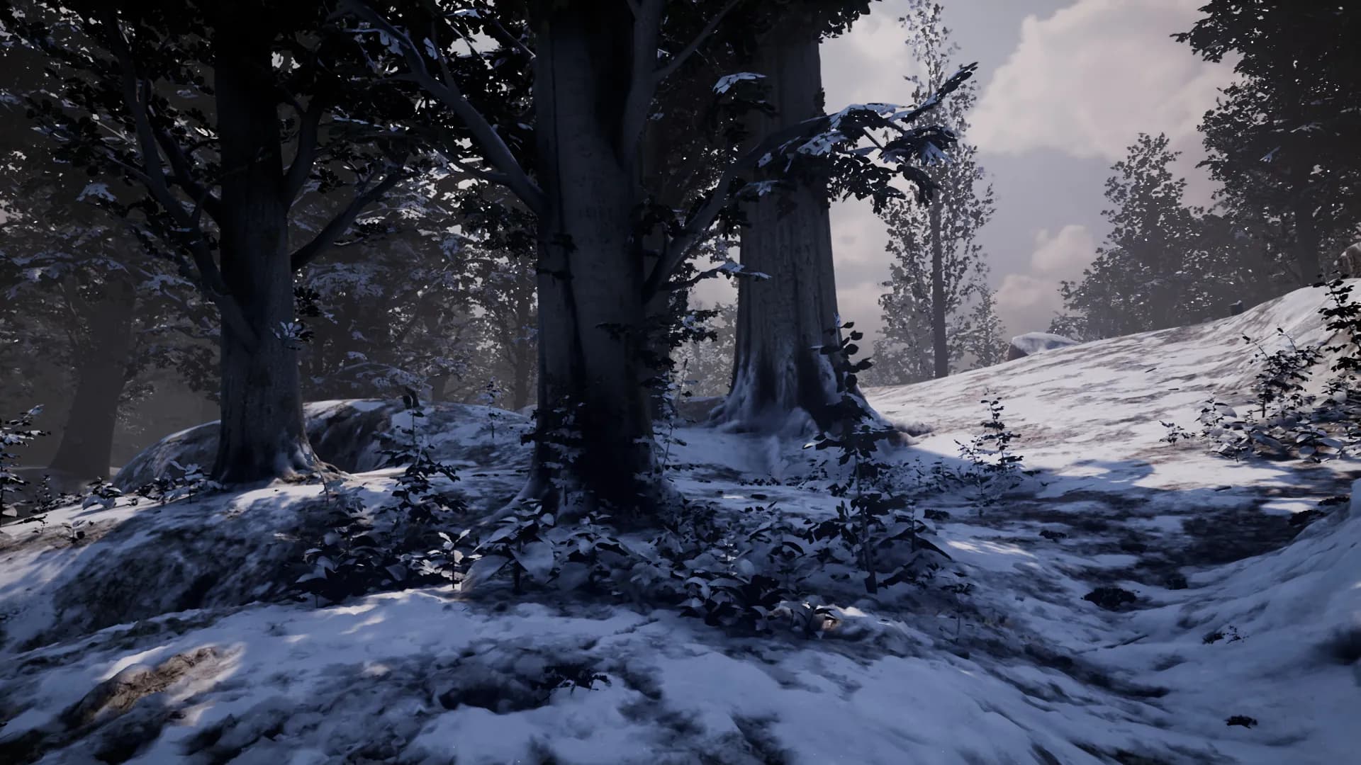 Nephise screenshot screenshot 8