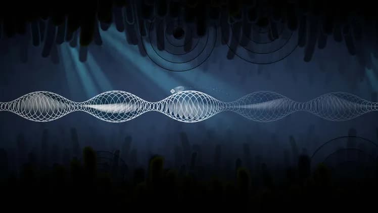 Onde screenshot screenshot 6