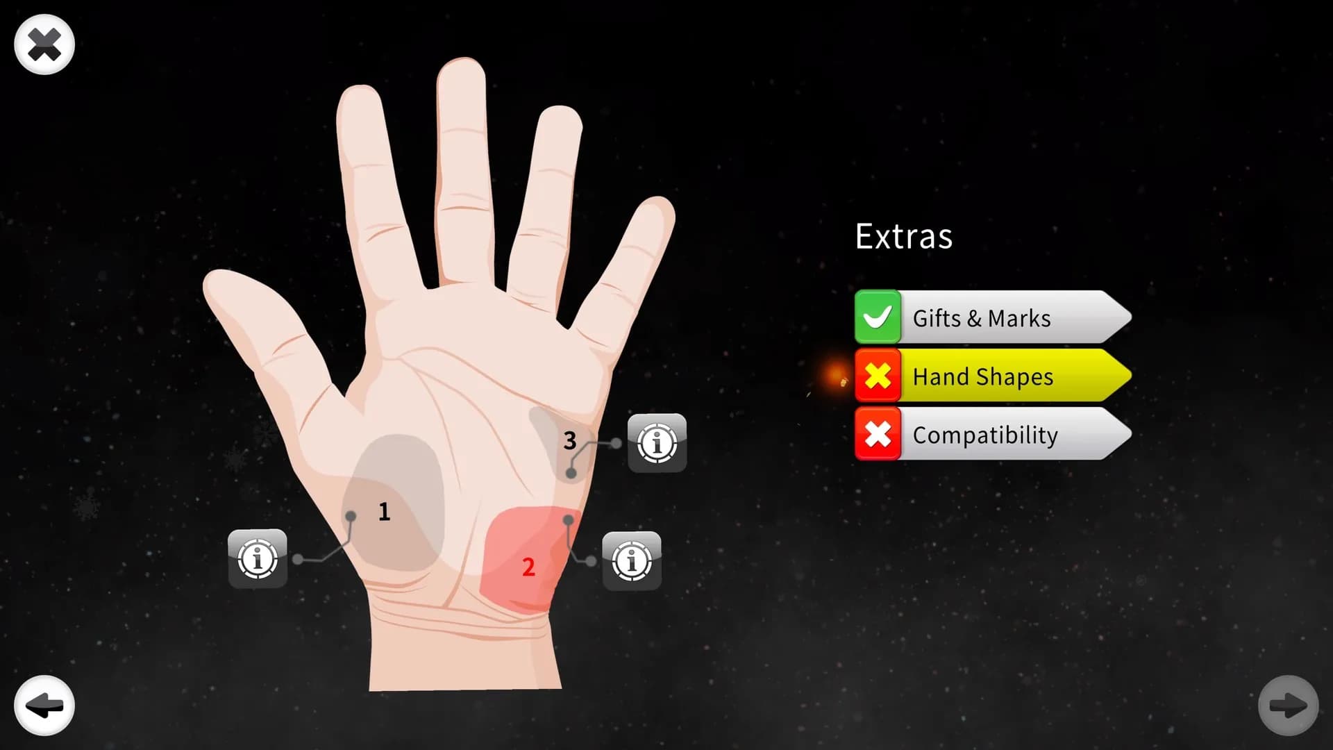 Palm Reading Premium screenshot screenshot 7