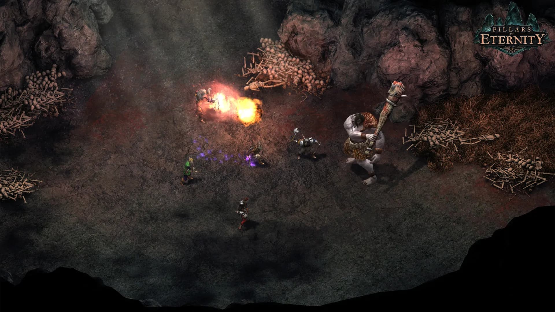 Pillars of Eternity screenshot screenshot 5