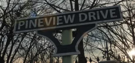 pineview drive vertical card thumbnail