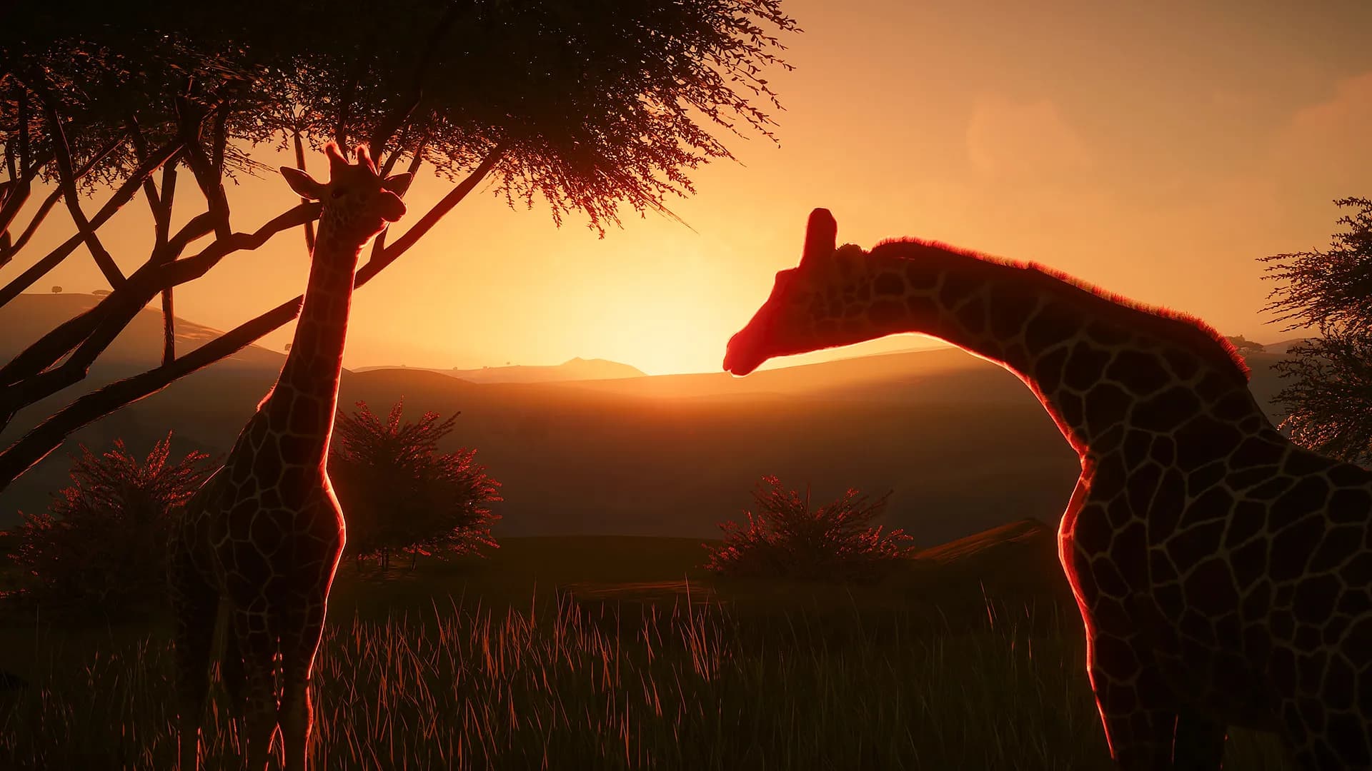 Planet Zoo screenshot screenshot 20
