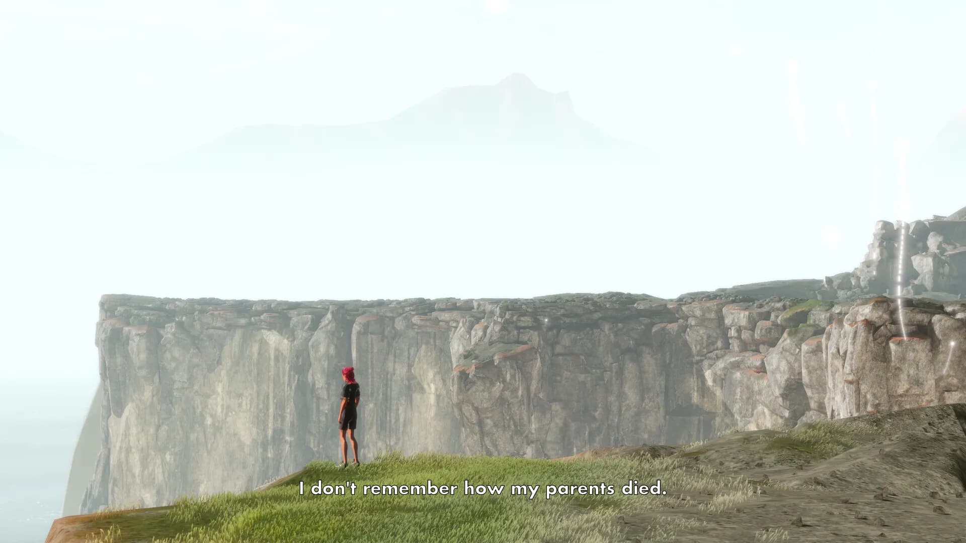 Player Non Player screenshot screenshot 11