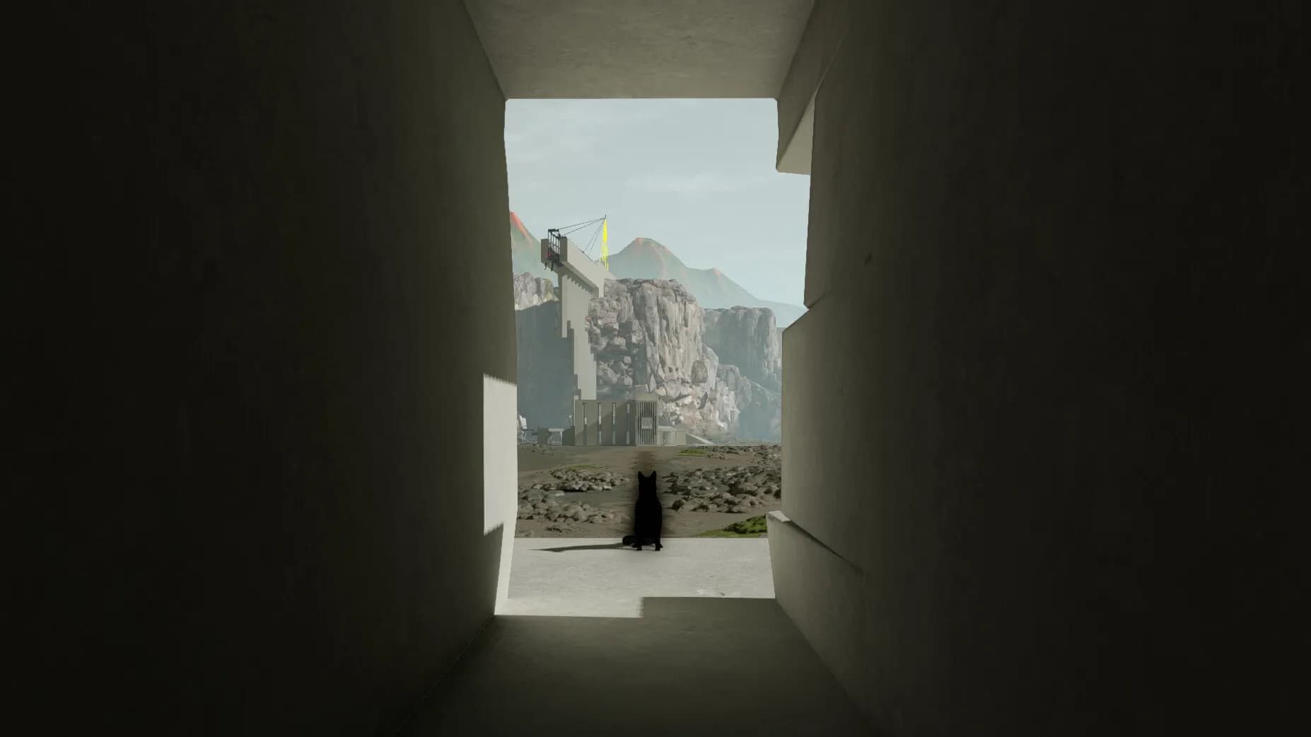 Player Non Player screenshot screenshot 17