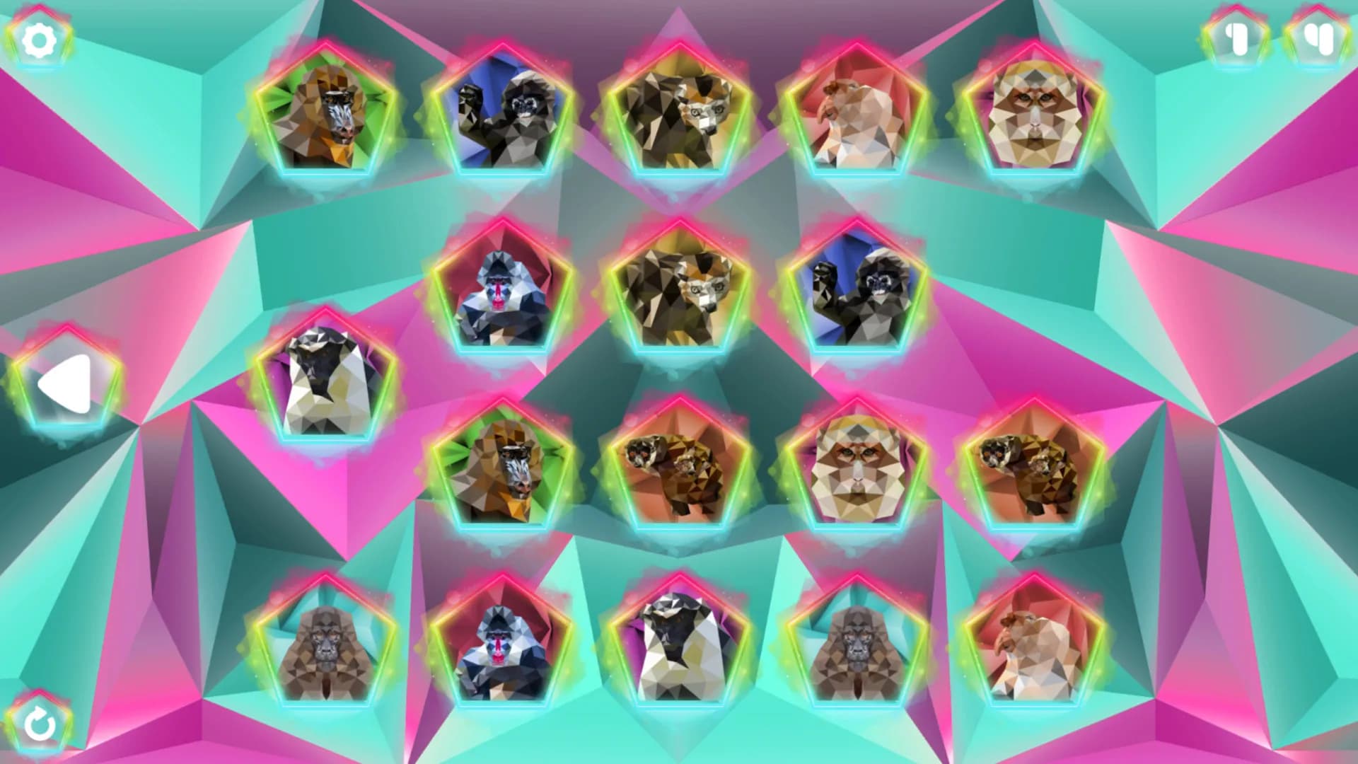 Poly Memory: Primates screenshot screenshot 3