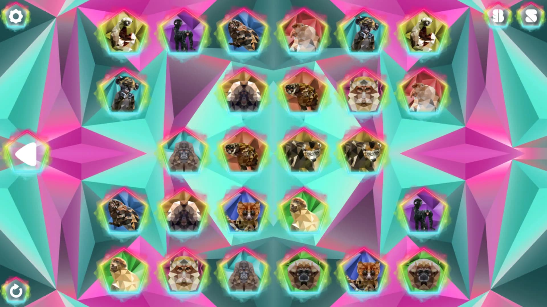 Poly Memory: Primates screenshot screenshot 4
